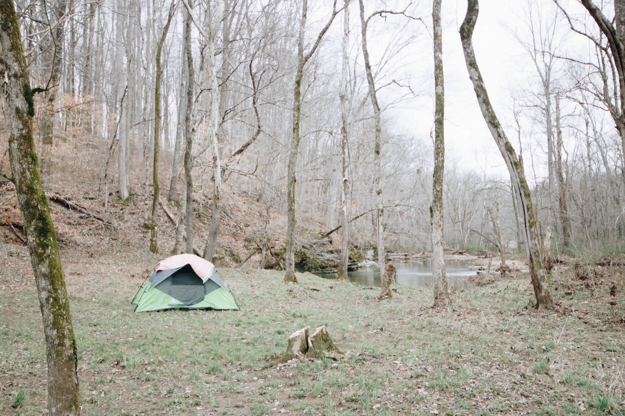 This camping spot is beyond beautiful. The sun sets on the back side over the mountain. The creek is right beside this site located at the corner of the property.