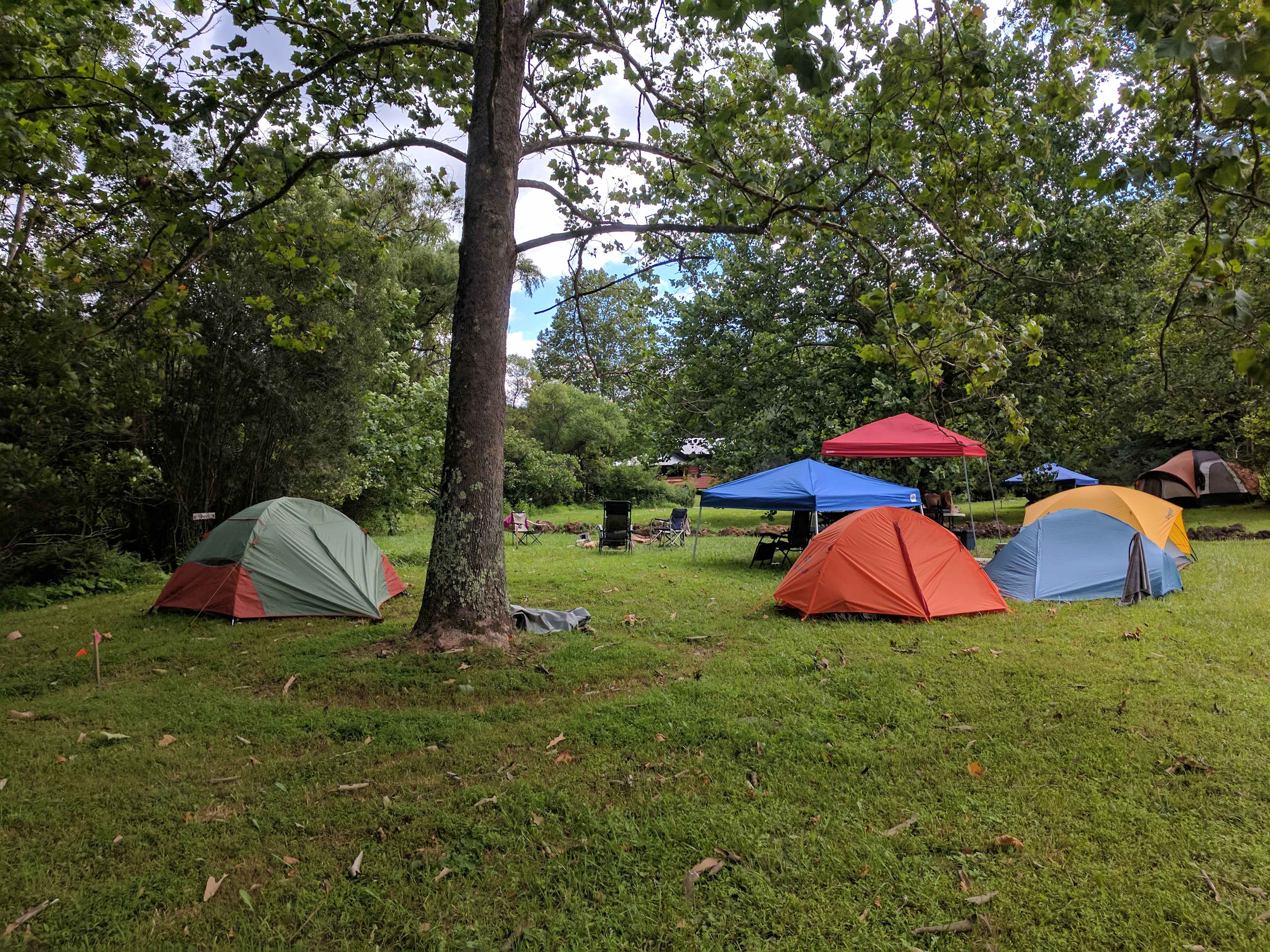 Picture of the site
