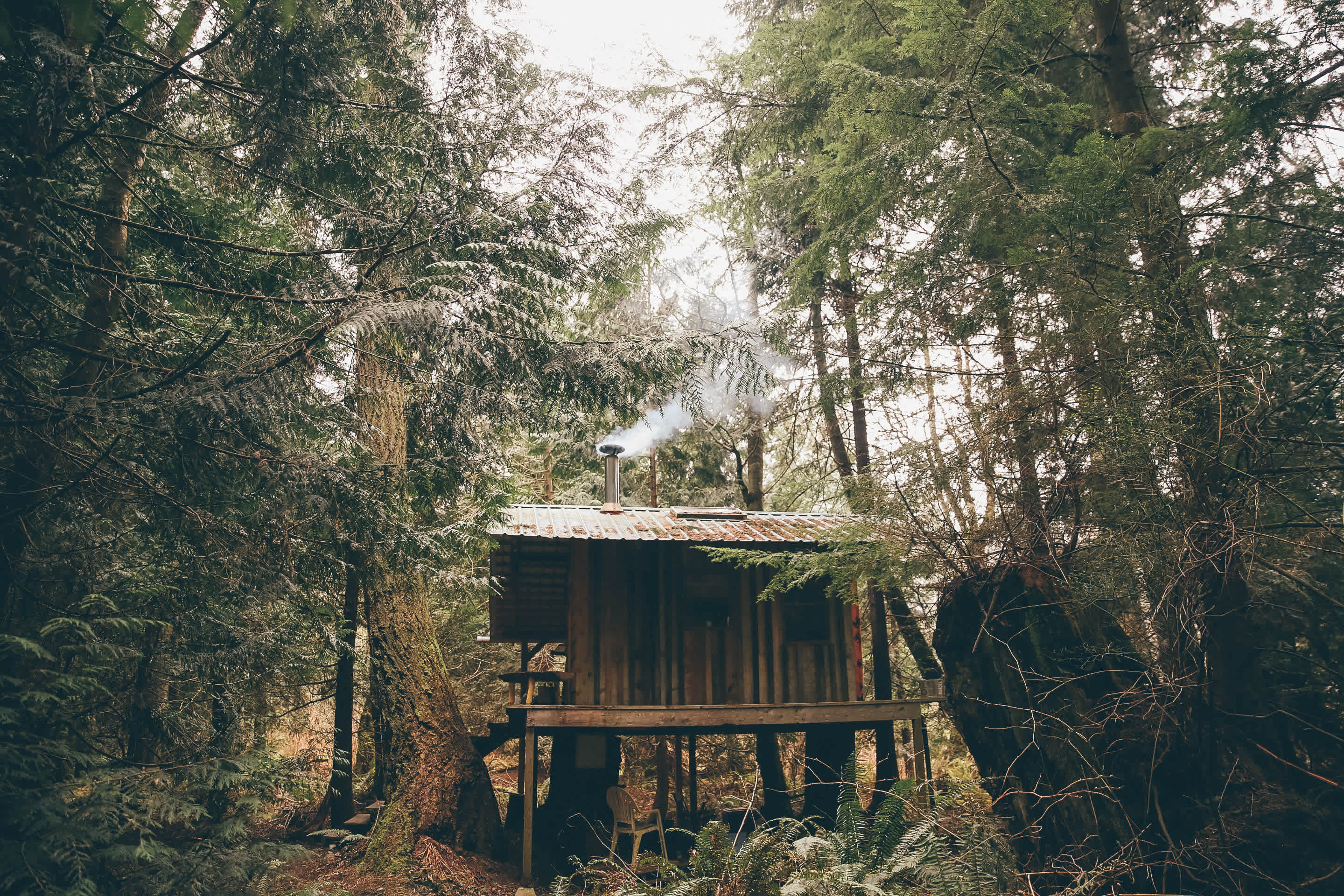 Jess Cabin