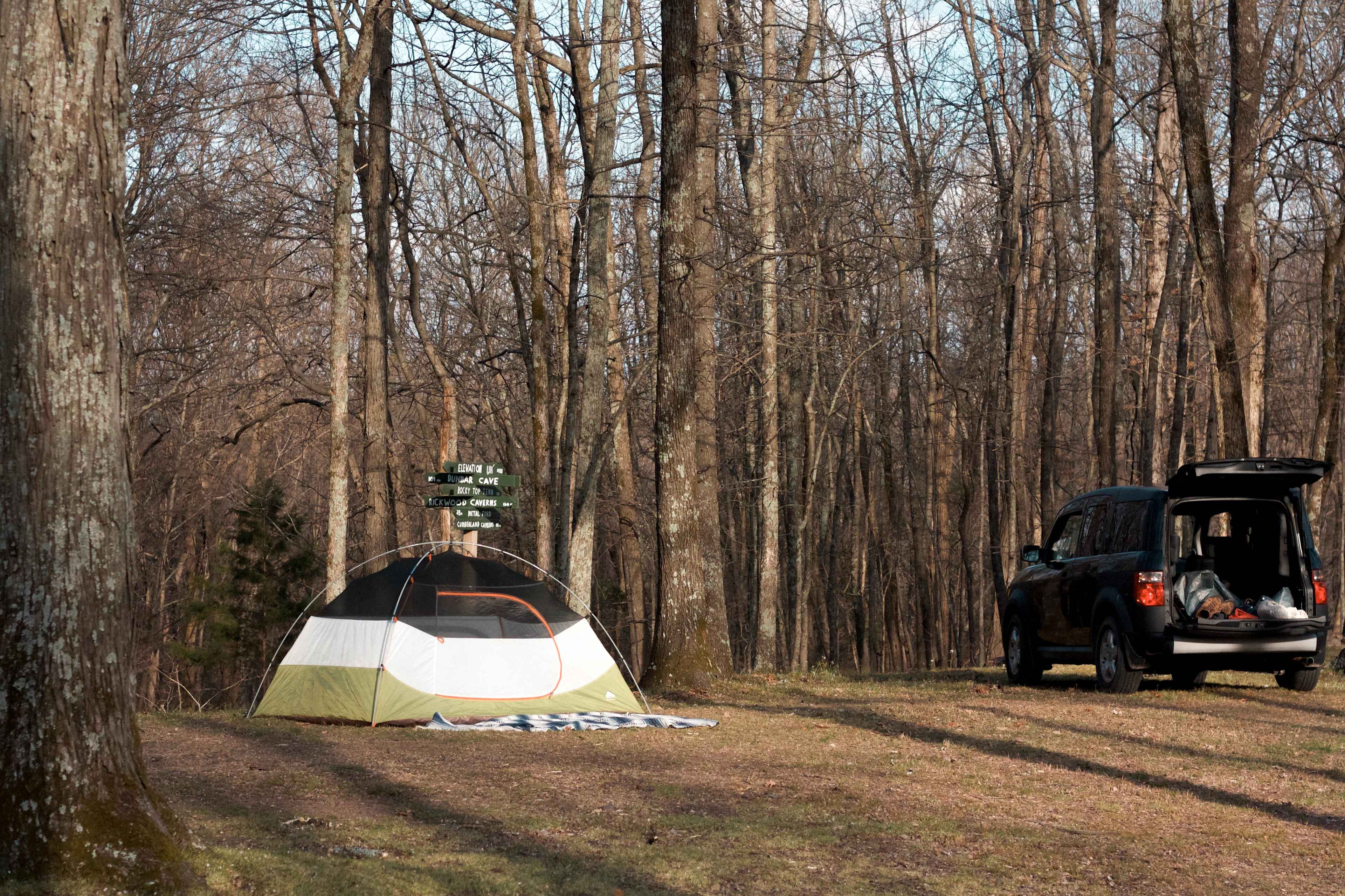 Plenty of space to set up camp and park