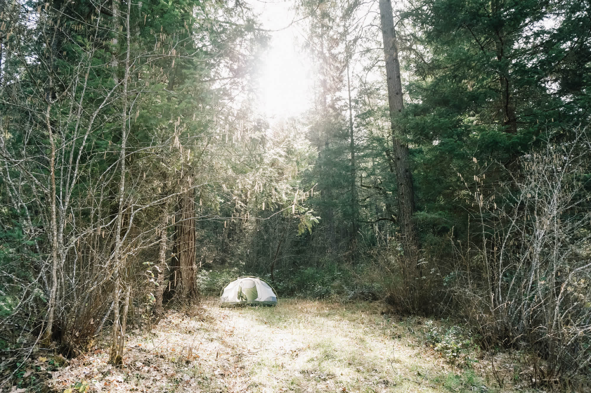 An idyllic camping spot in the forest.