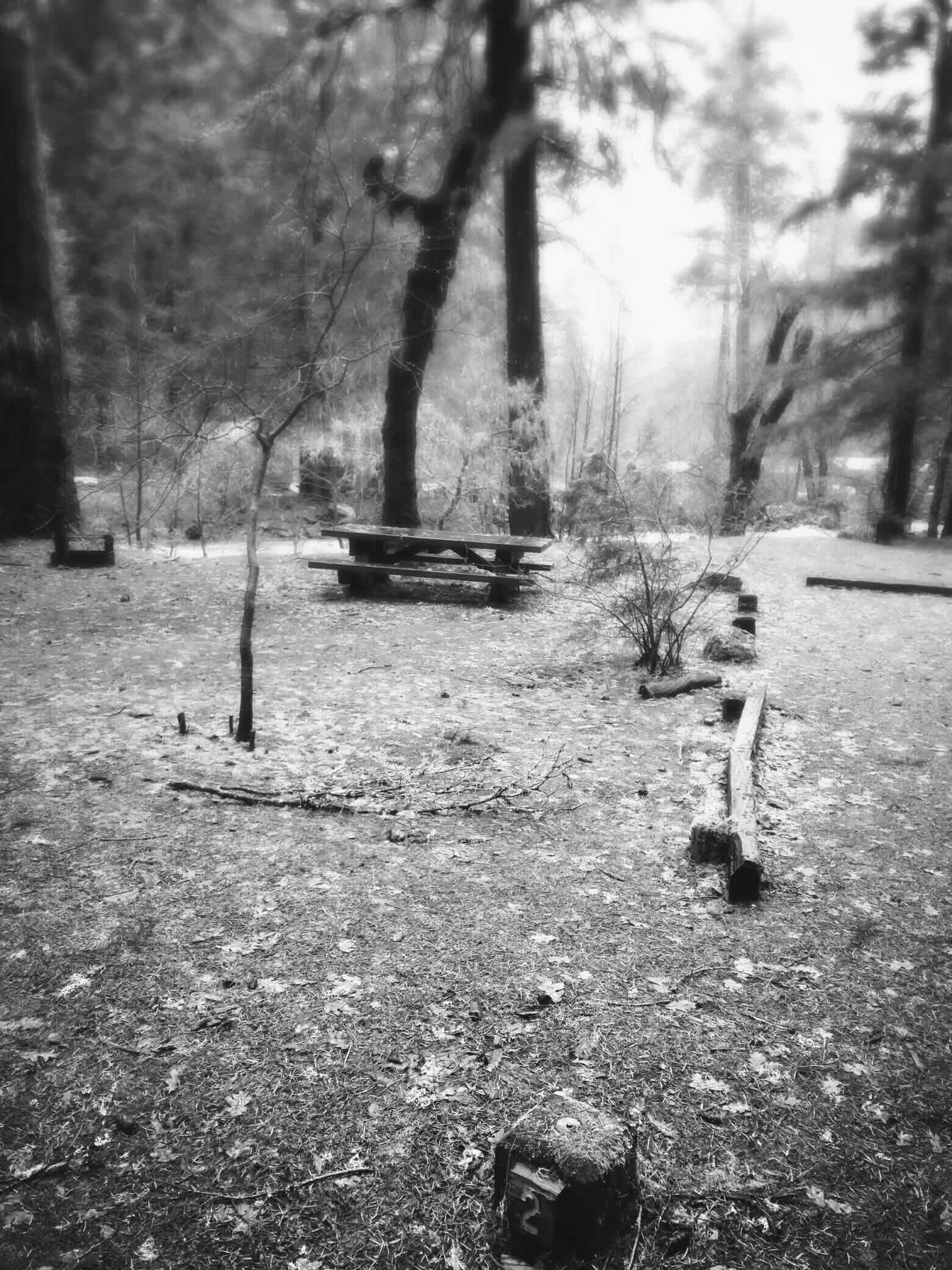 Deerlick Springs Campground