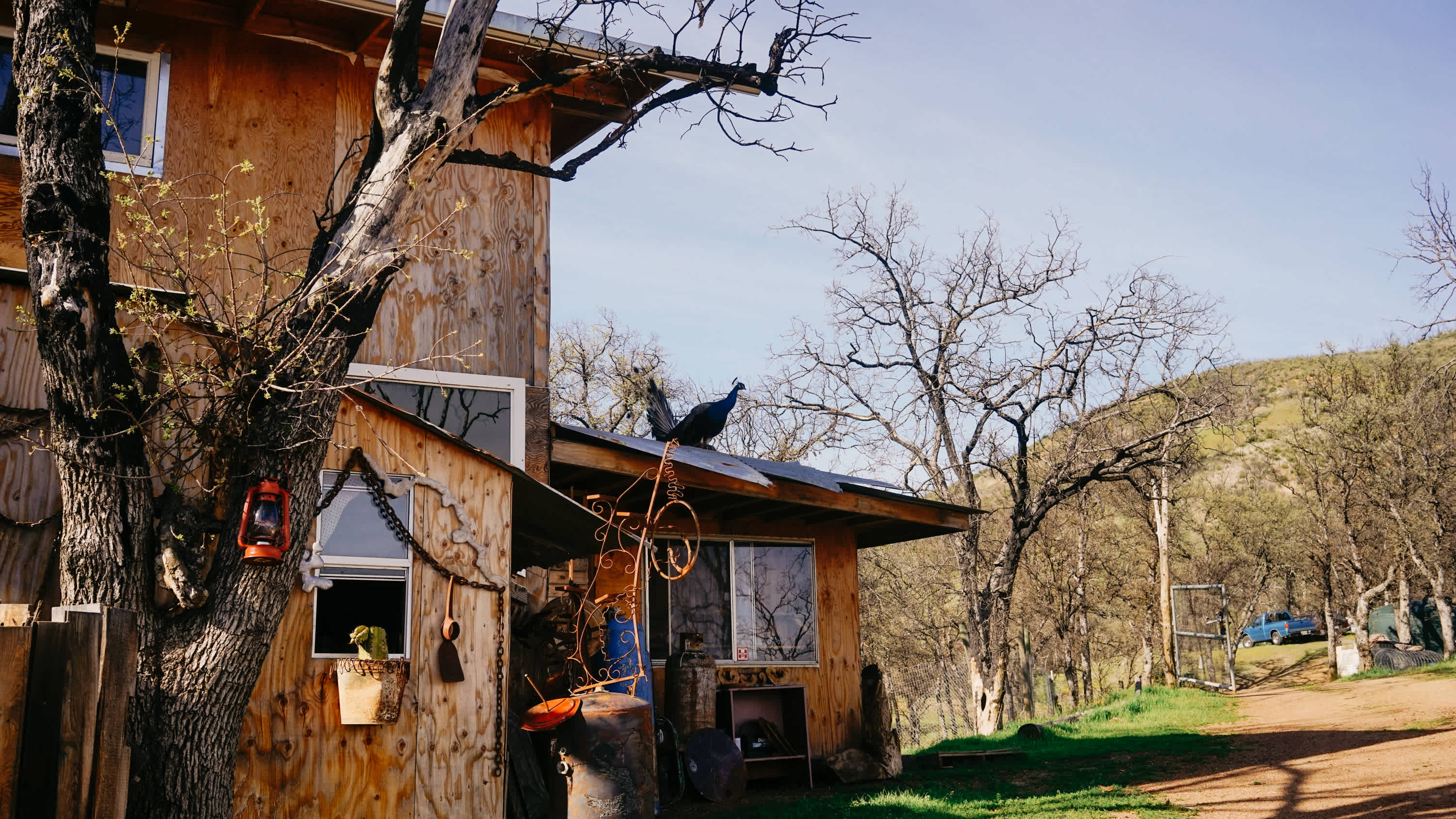 Ravens Landing