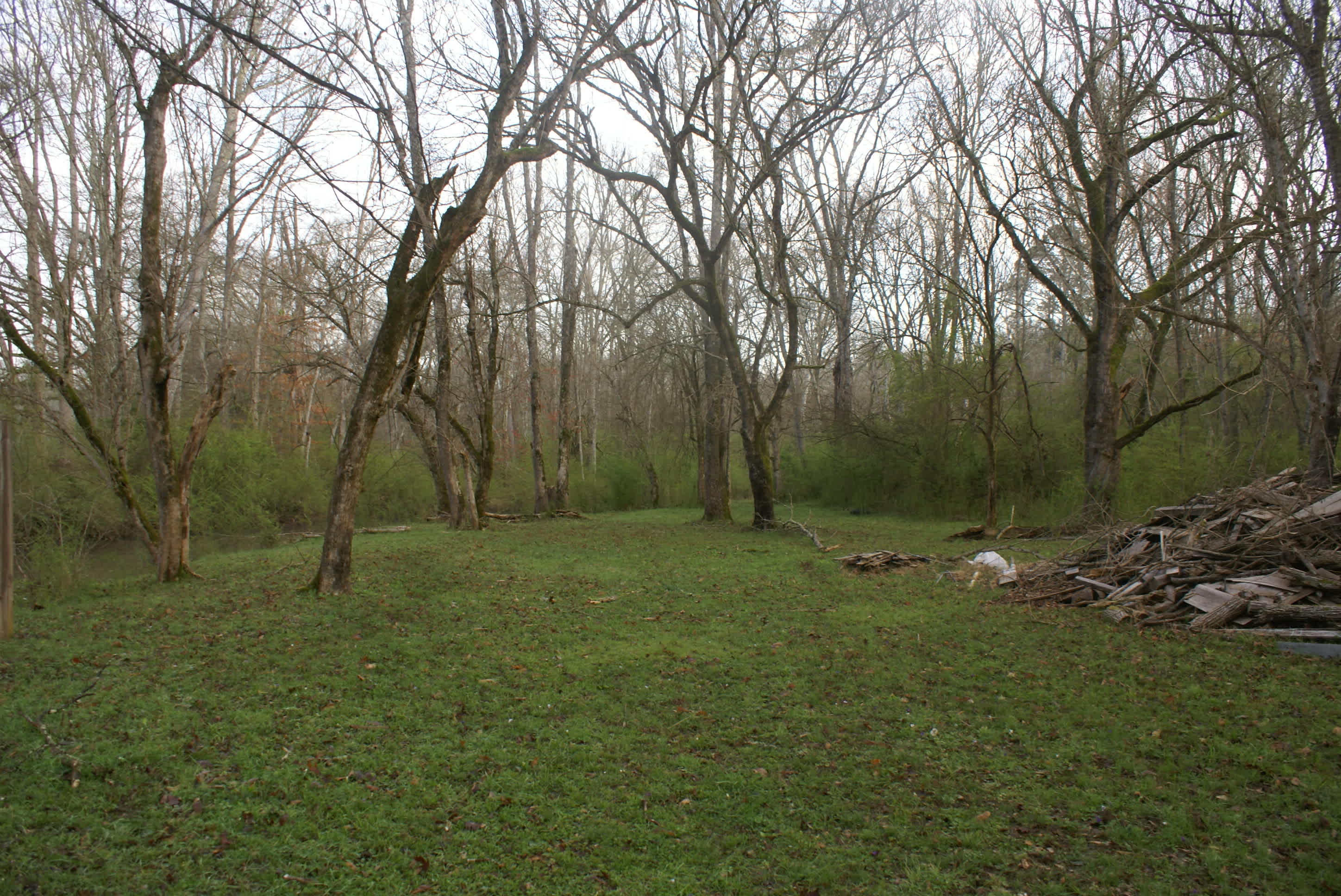 Large area for putting tents and hammocks next to creek.