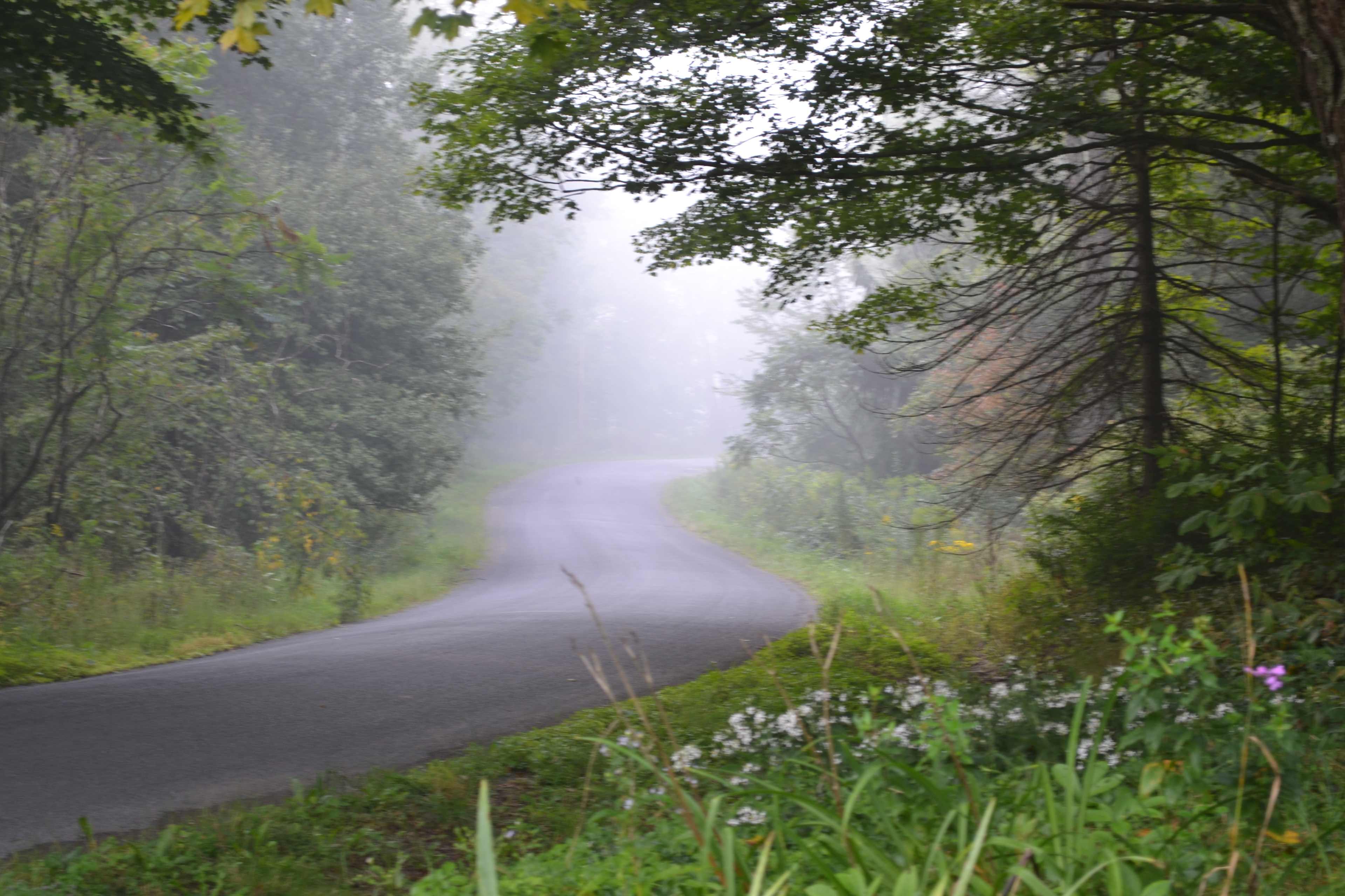 Country roads...