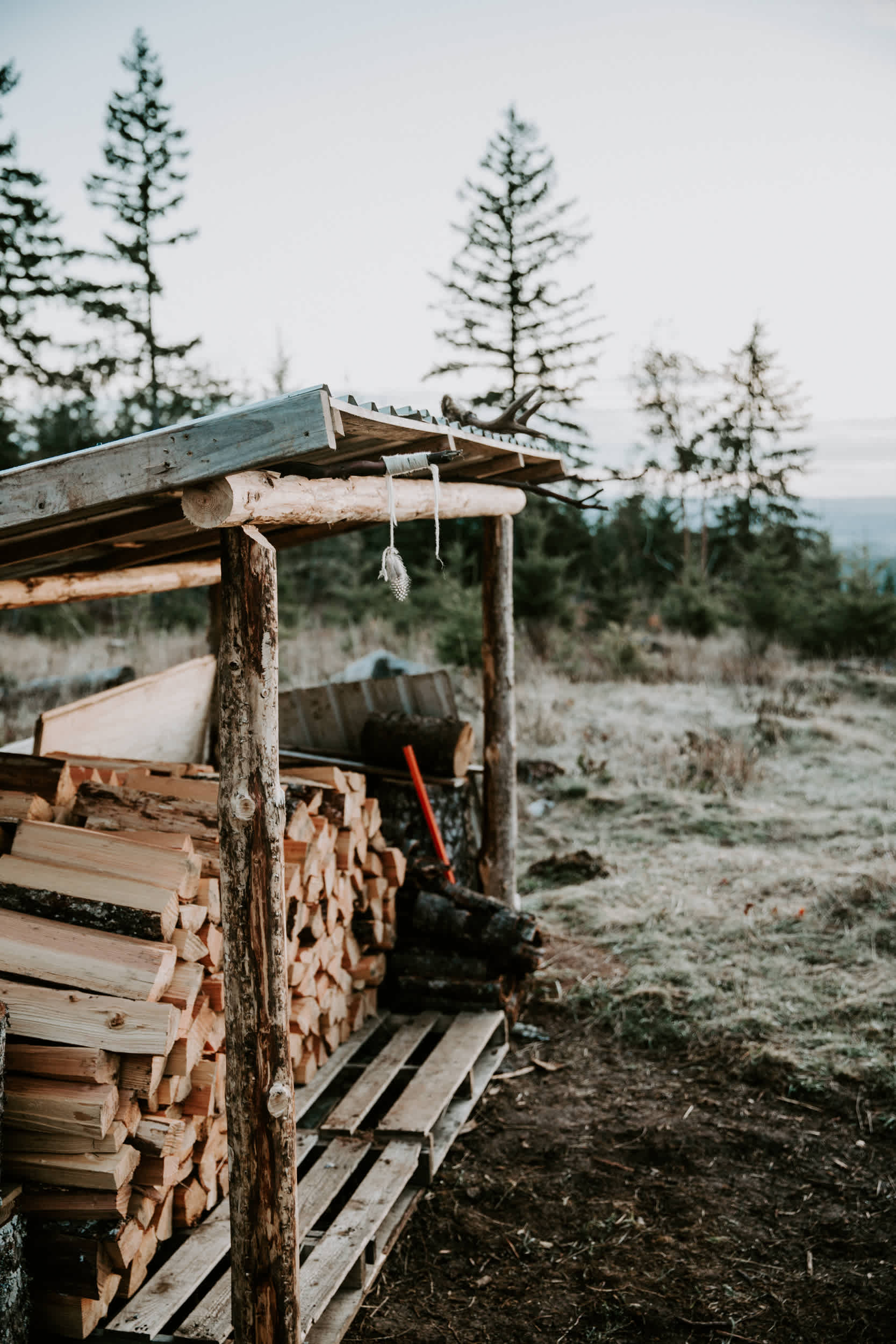 Elk Moon Yurt