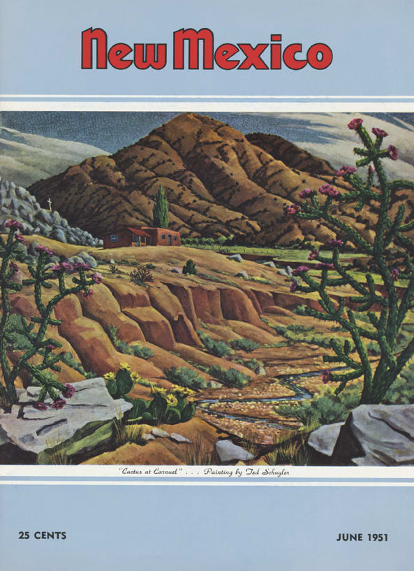 NM 