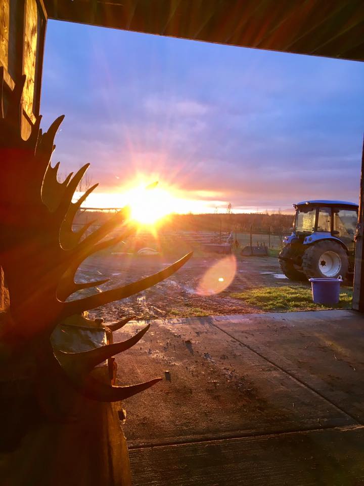 Sunderland Ranch Farm Stay