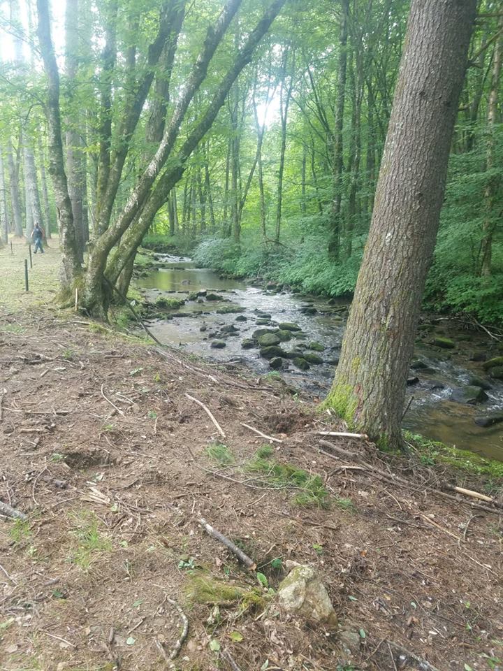 Trout Creek Campgrounds