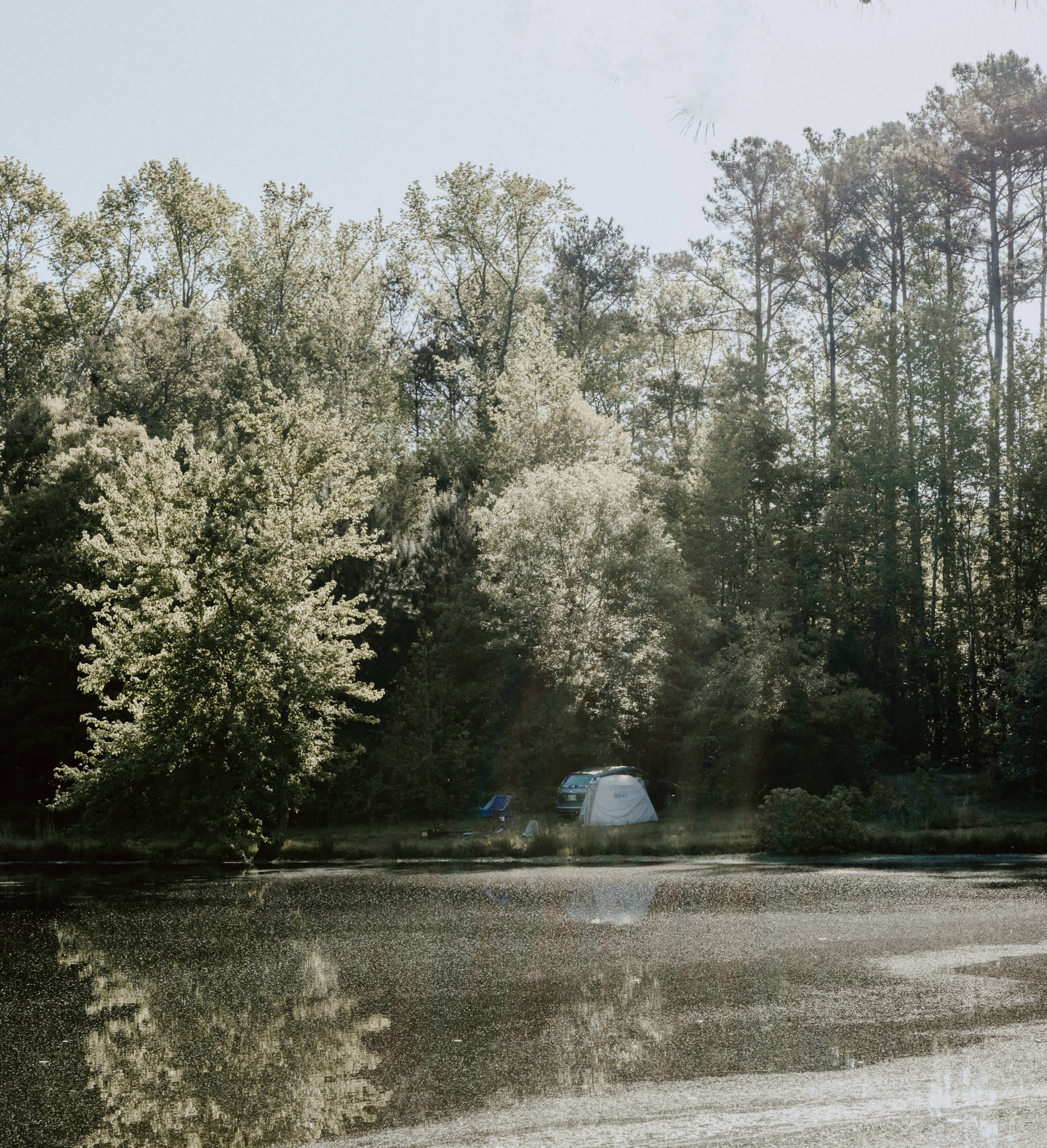 There's ton of camping spot opportunity's!  