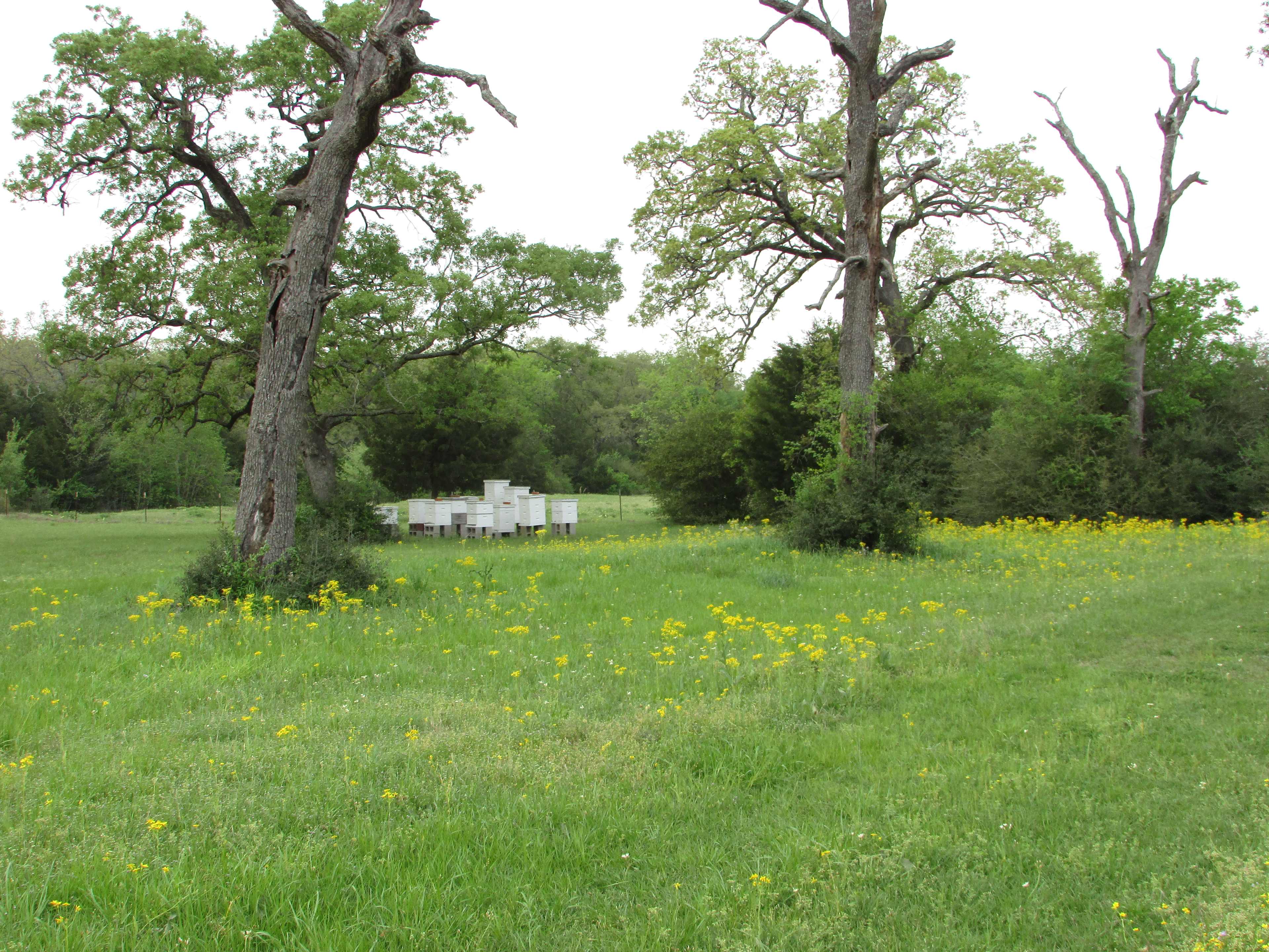 The Morris Manor and Retreat
