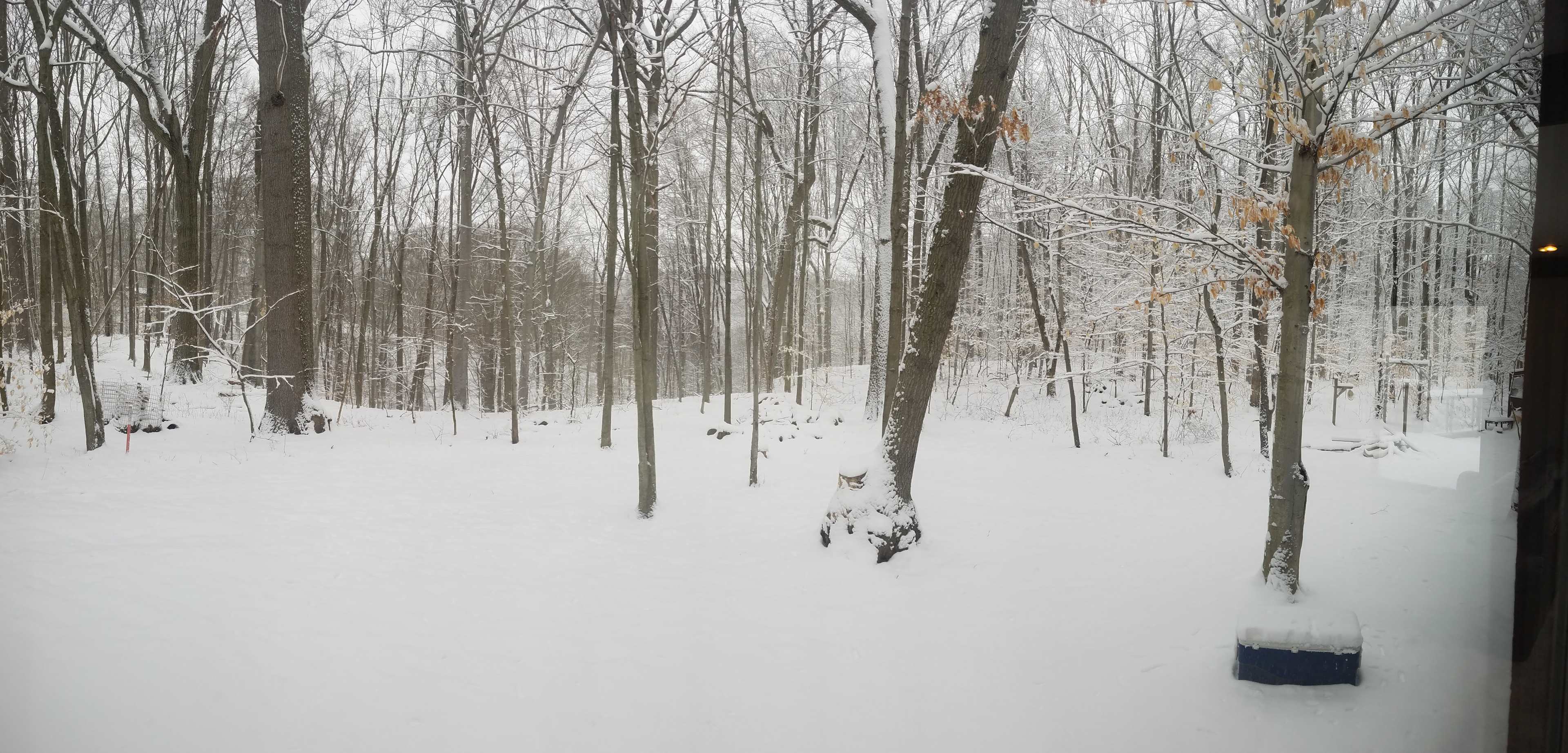 Winter