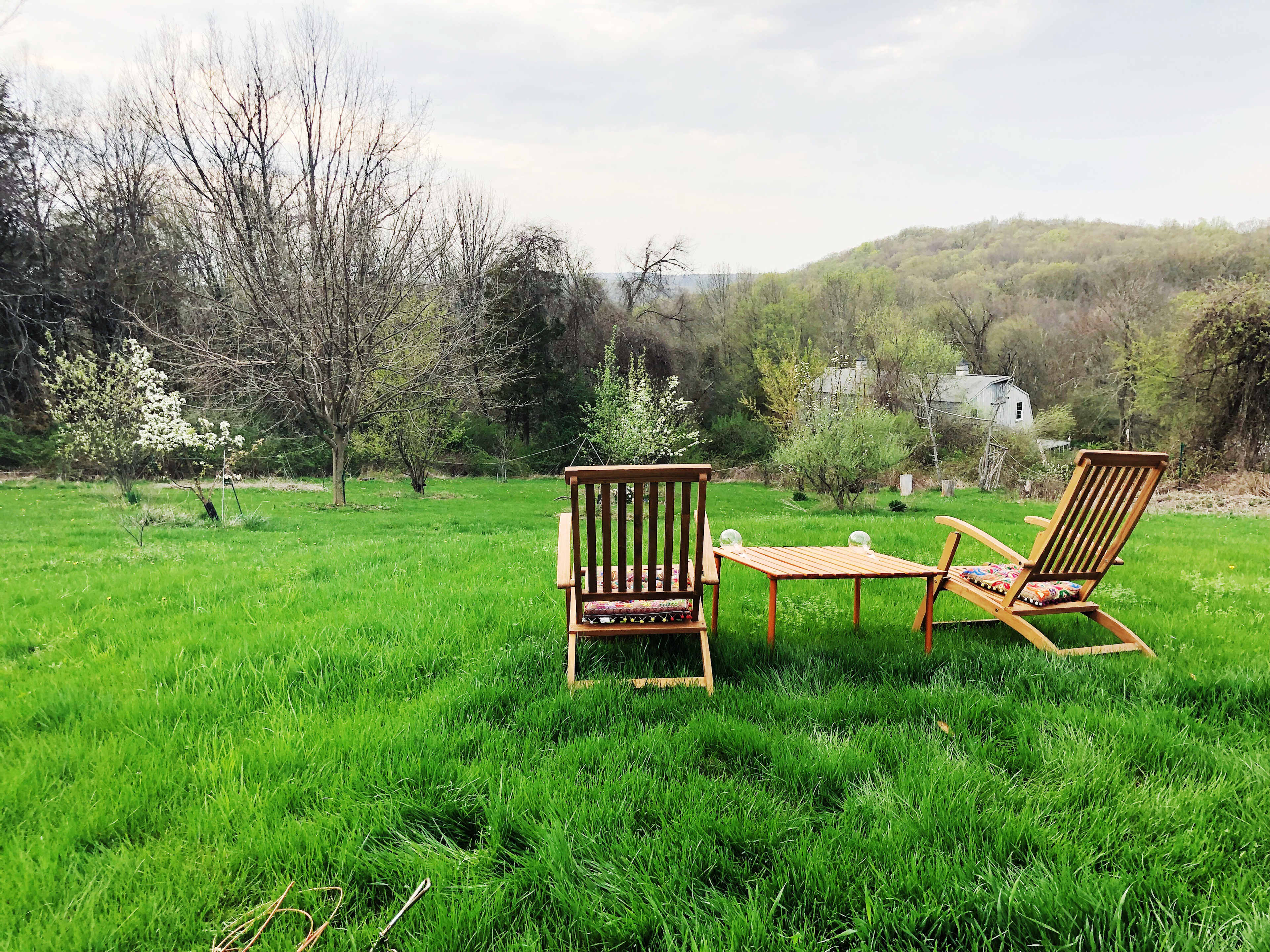 Really beautiful, peaceful location. Bird song was lovely -
