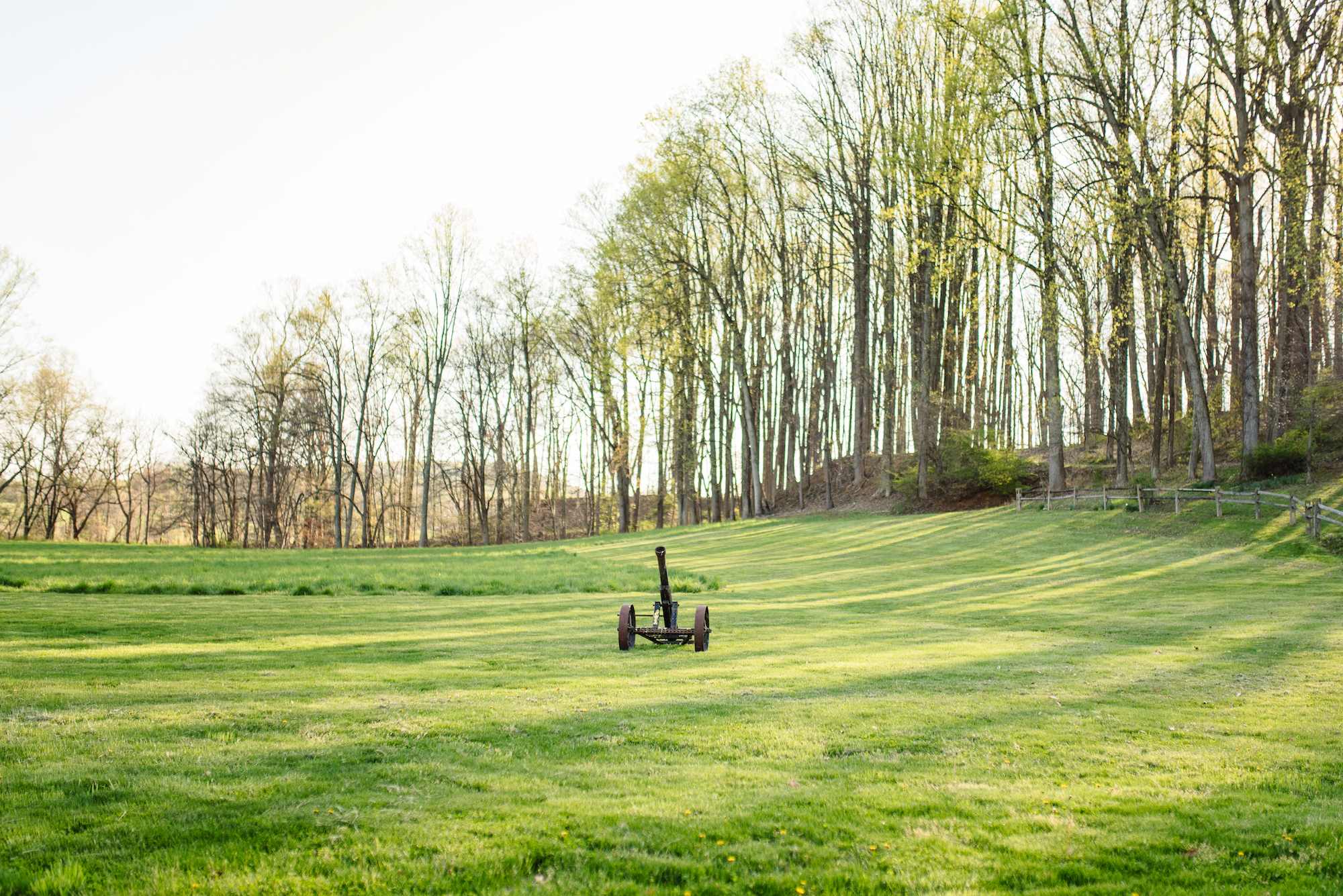 The front lawn is absolutely beautiful!