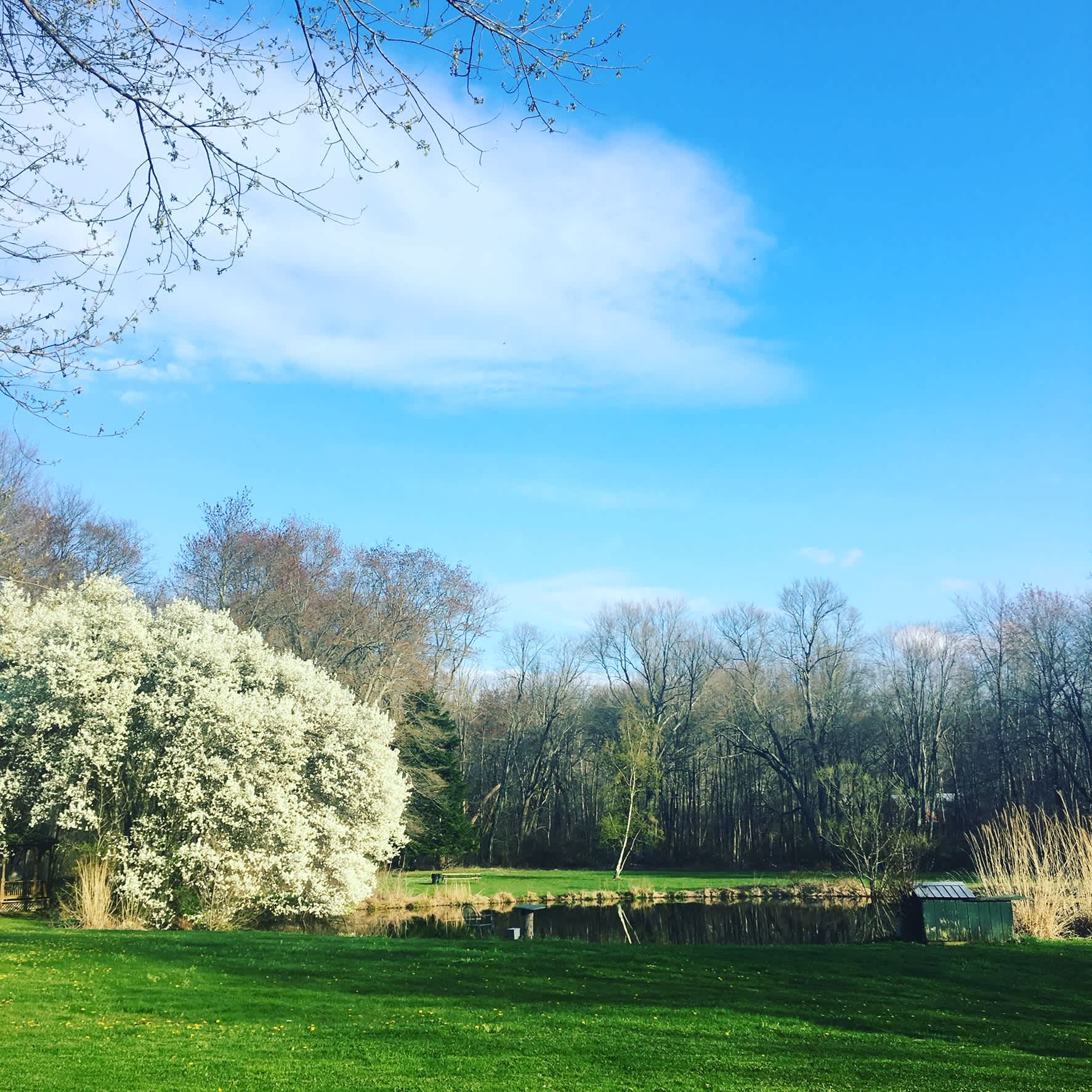Hawkwood Farm
