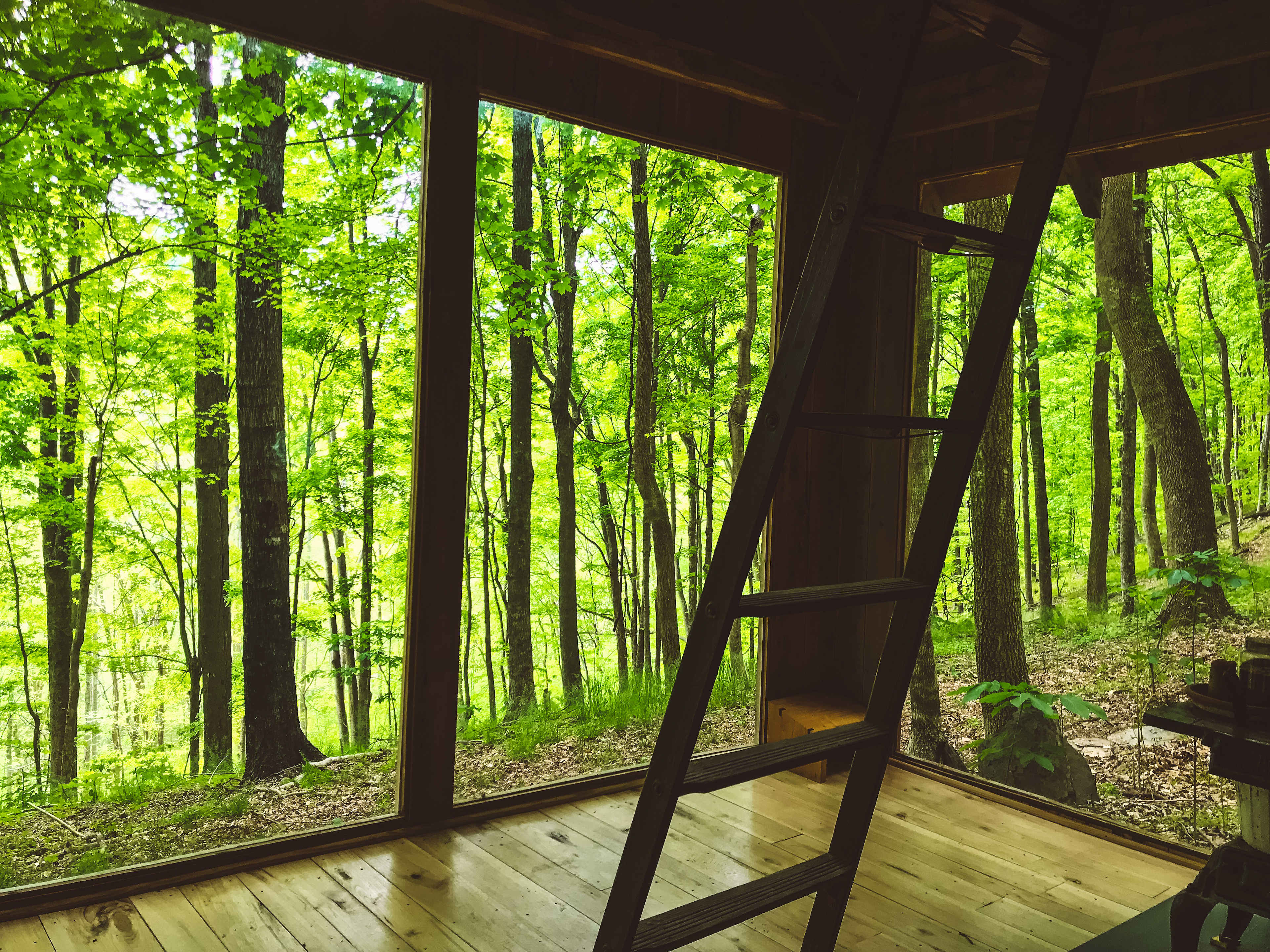 First view upon entry into the hut. Very exposed, allowing for a deeper connection with nature. 