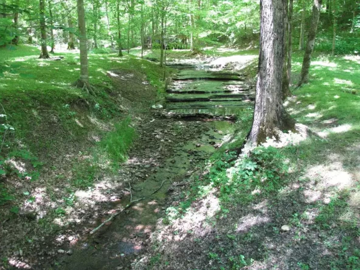 Picture of the site