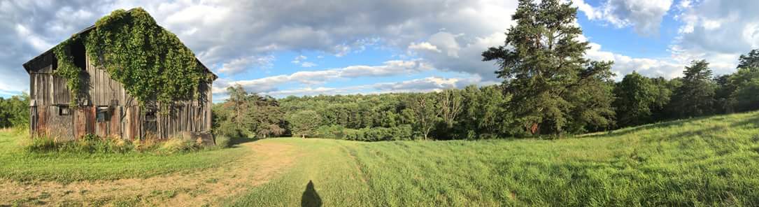 Stuart H.’s Land