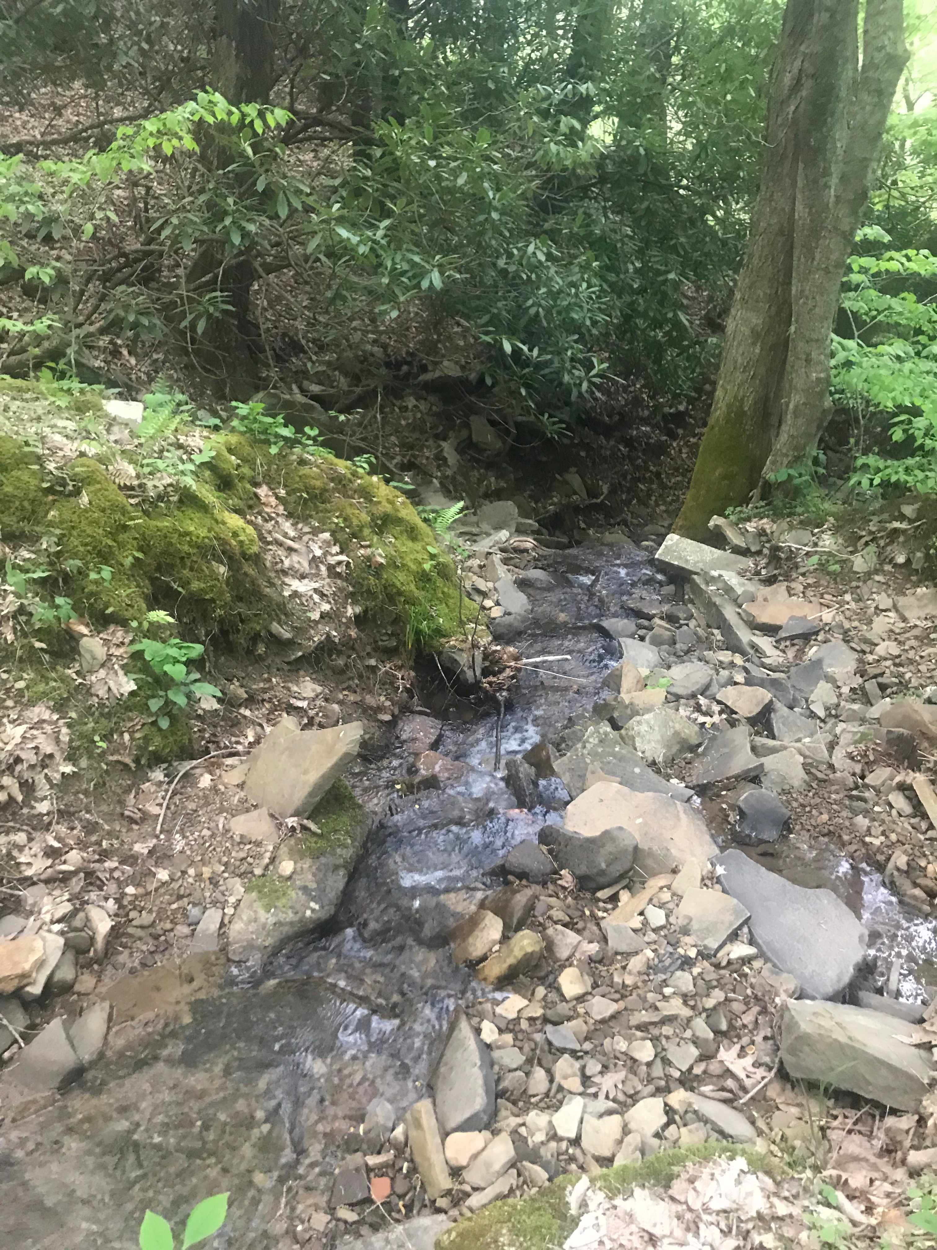 Small Stream by the Flat Land Campsites