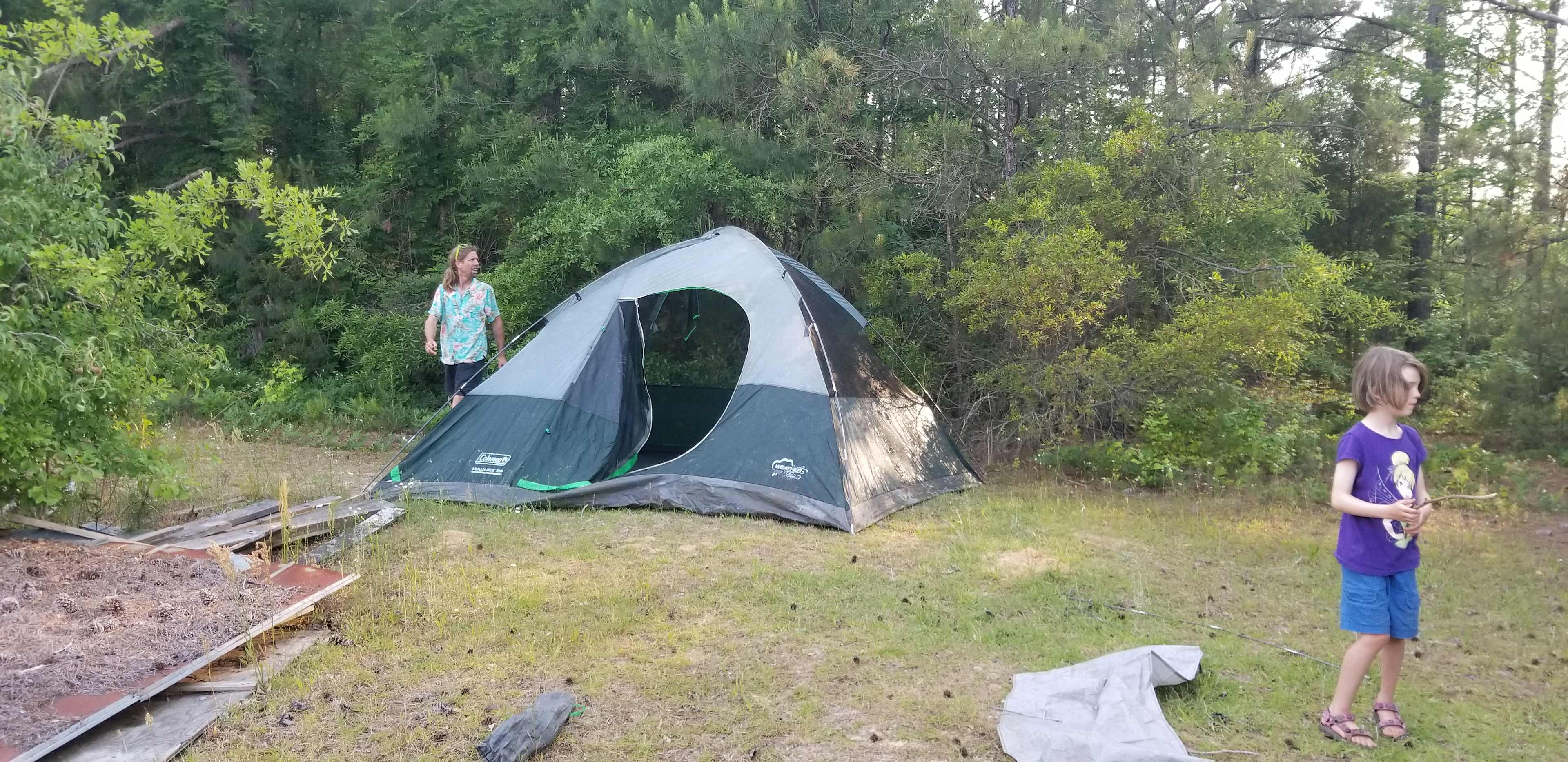 Picture of the site