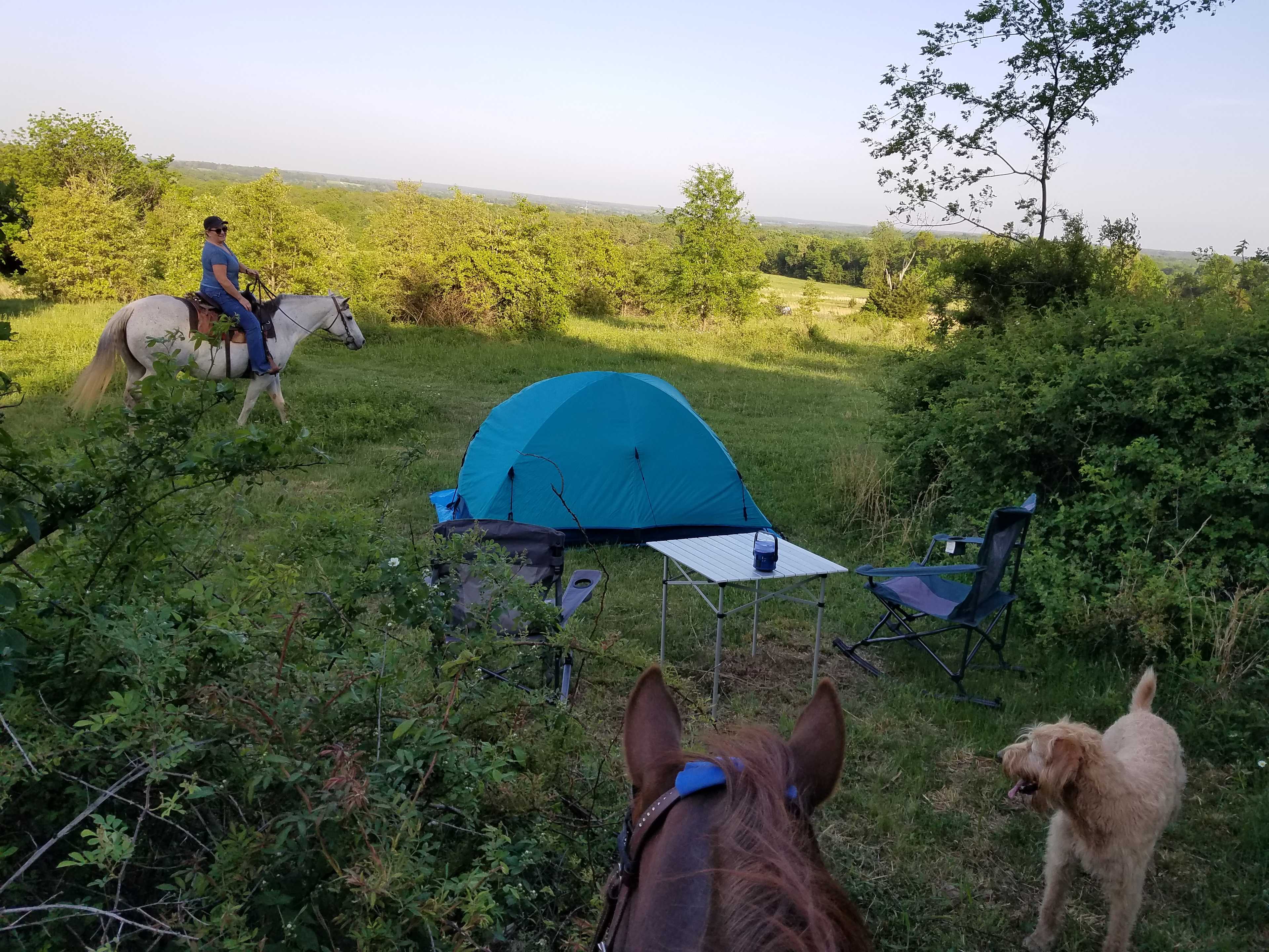 This camper takes a ride by her newly set up camp.