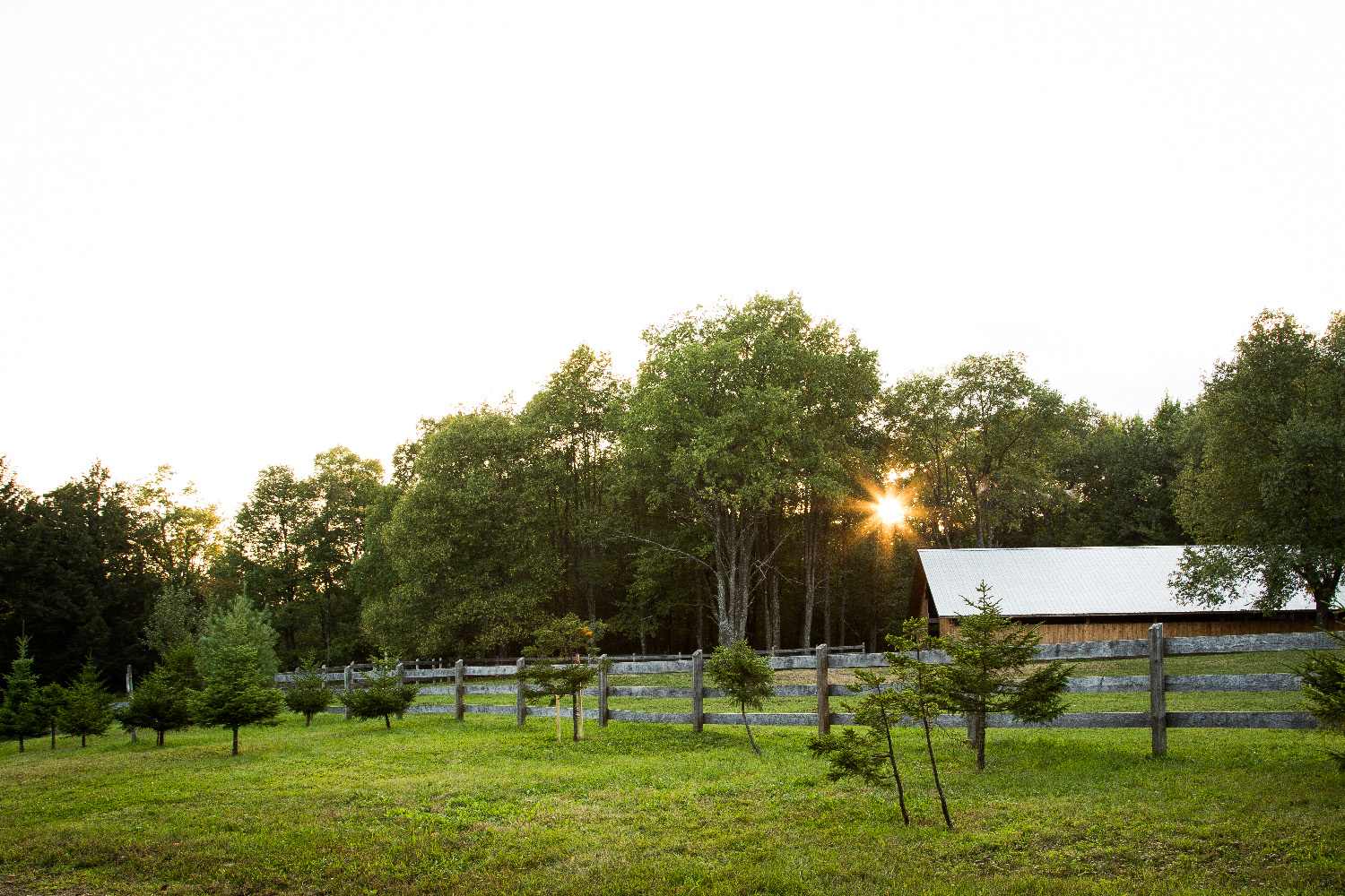 Trailside Ranch Cabin Rentals