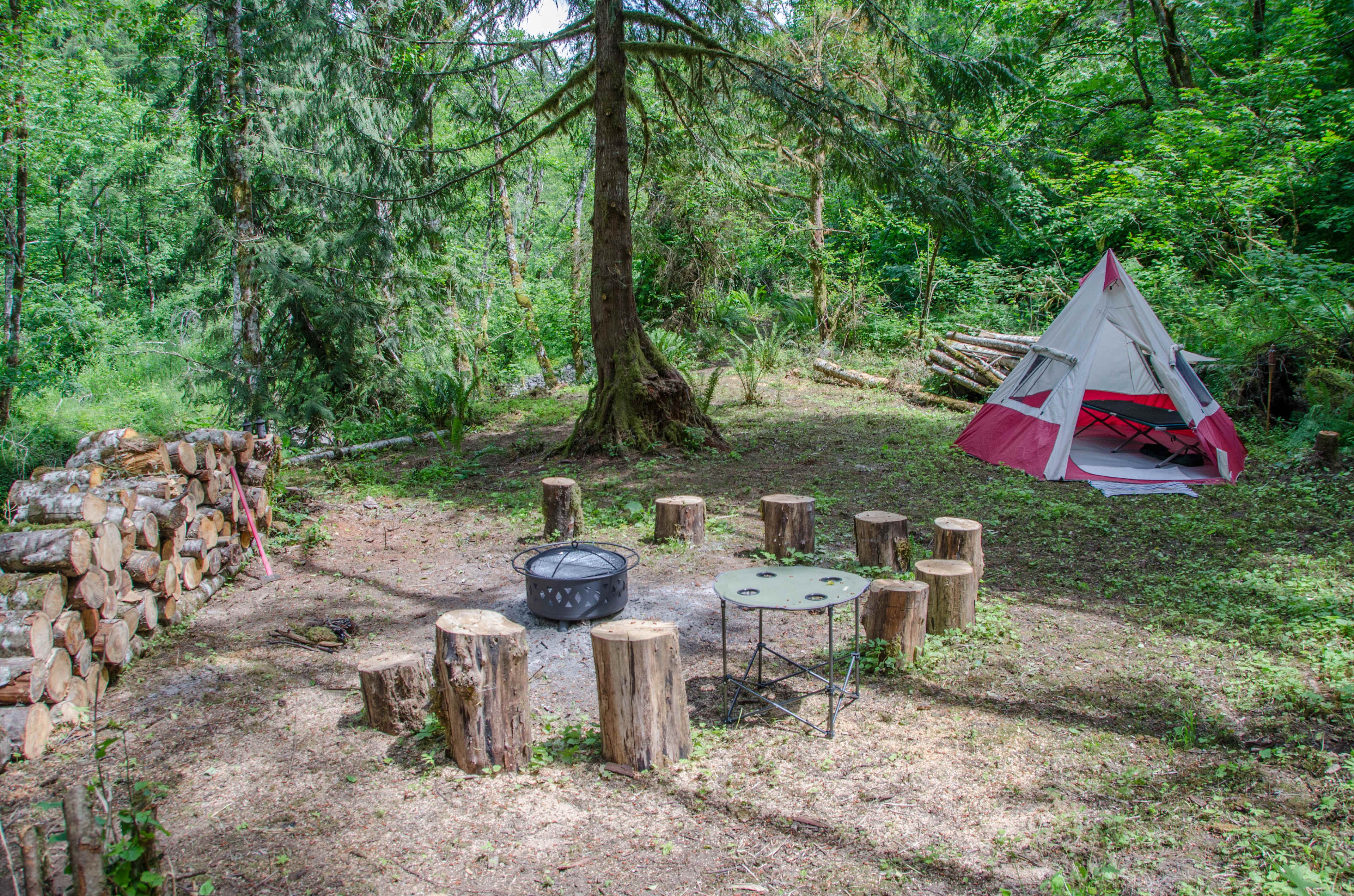 Picture of the site