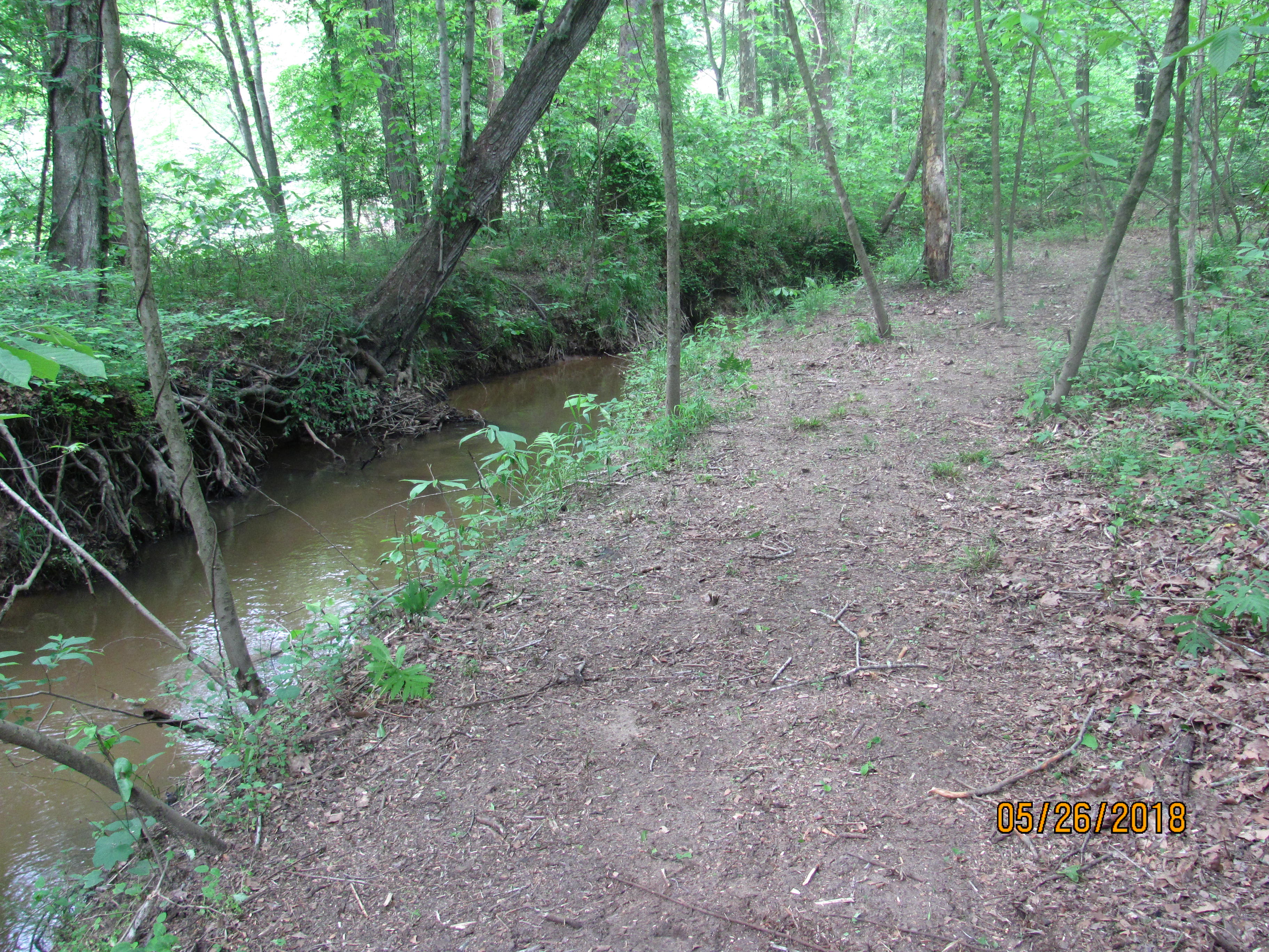 Trail along the creek