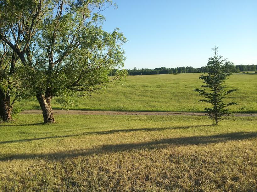 I Live in the Country