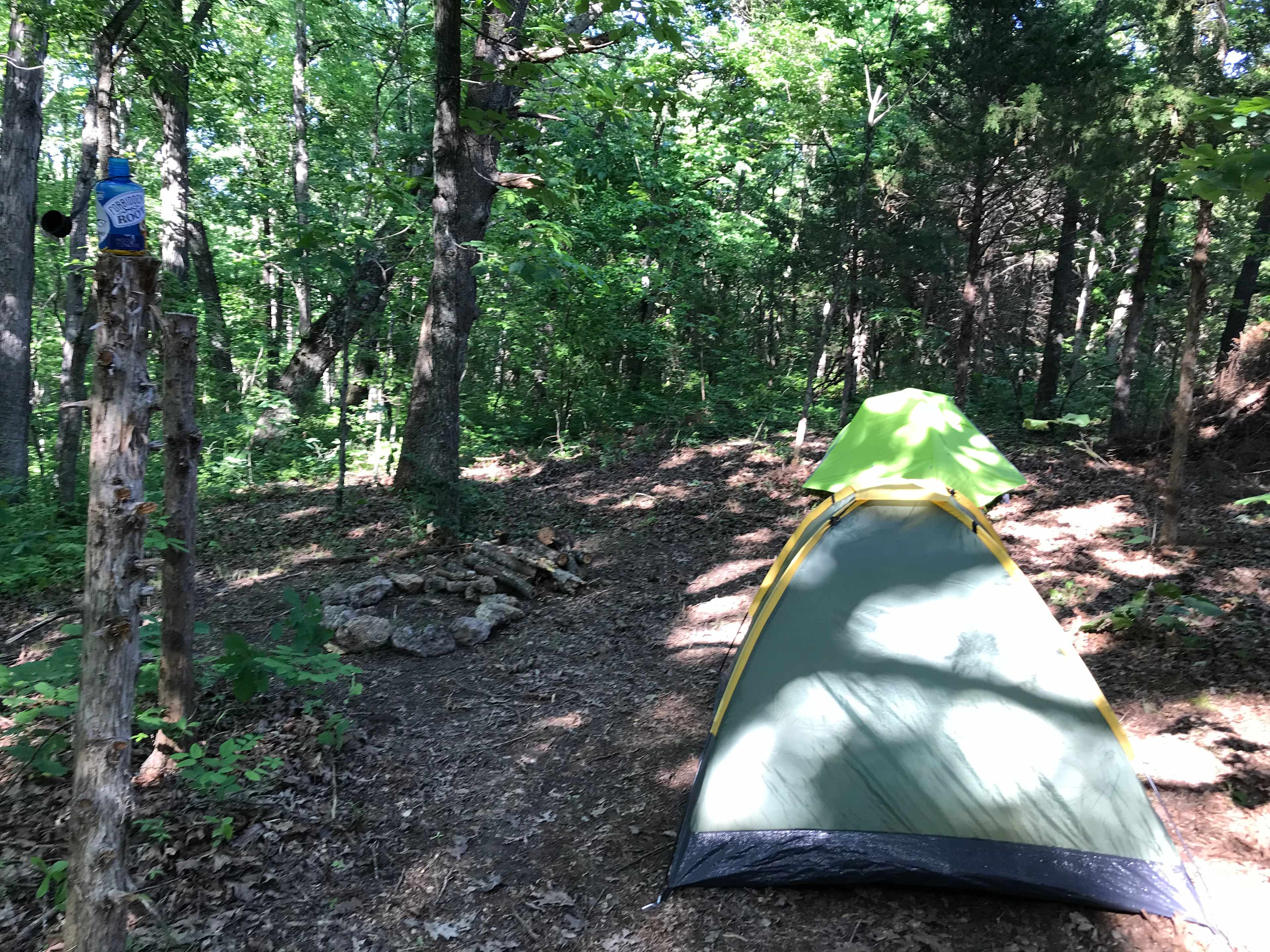 Picture of the site