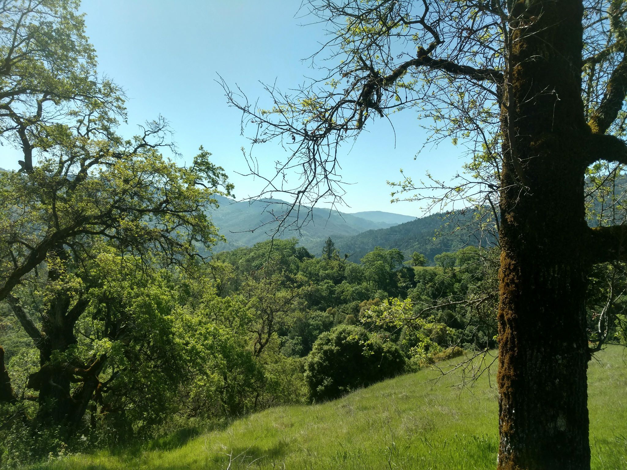Site 3.