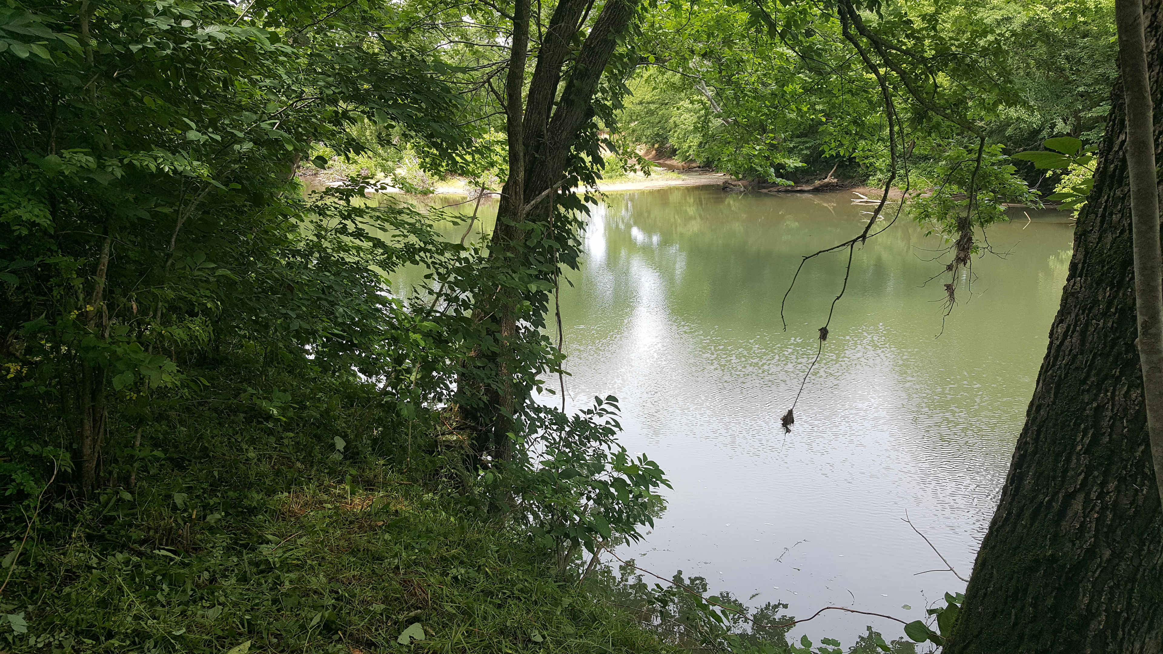 River Bluff Woods