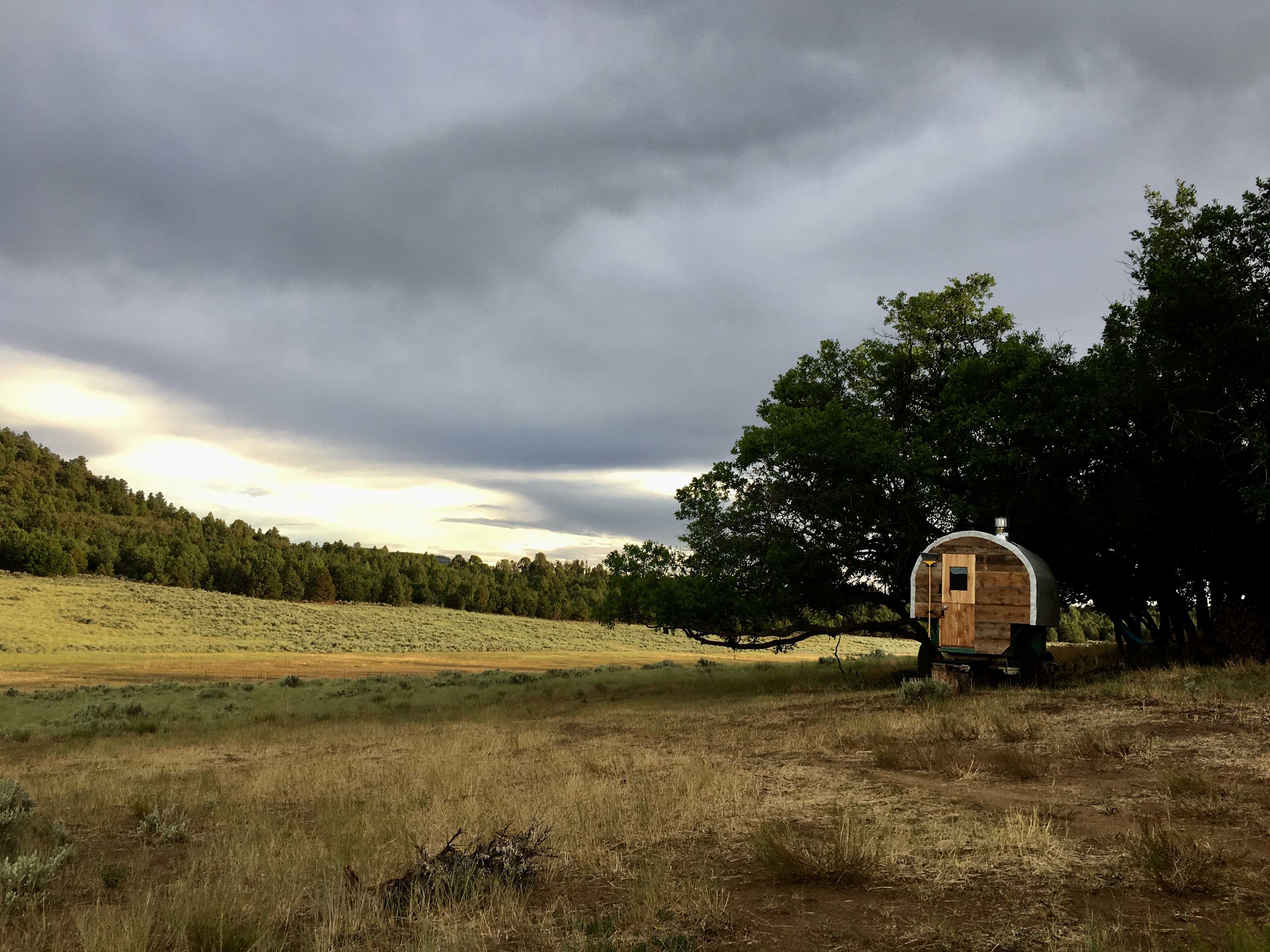 Green Sheep camp.