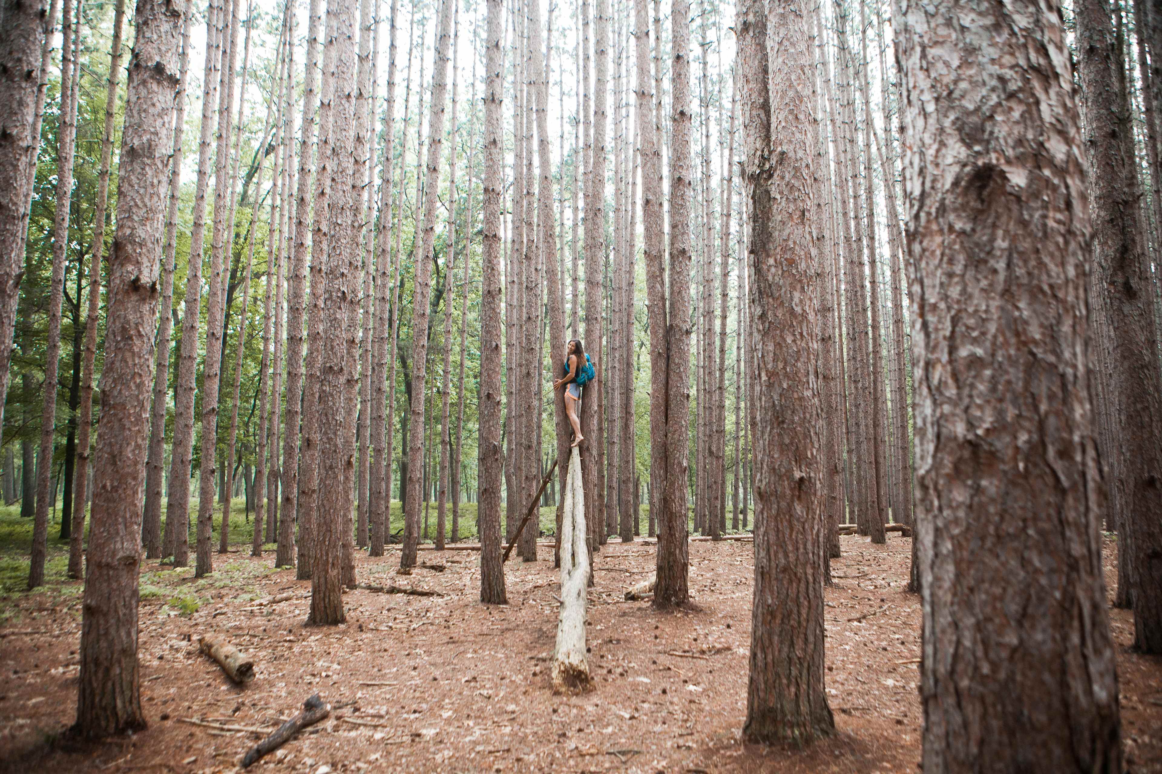 The Eco Camp | Oak Openings
