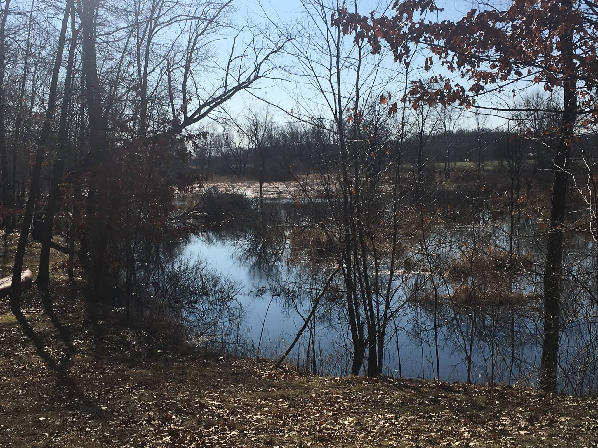 This is a view of the channel. Of course this is in the spring when we have an abundance of water. The little channel doesn’t always look like this. All depends on the water level