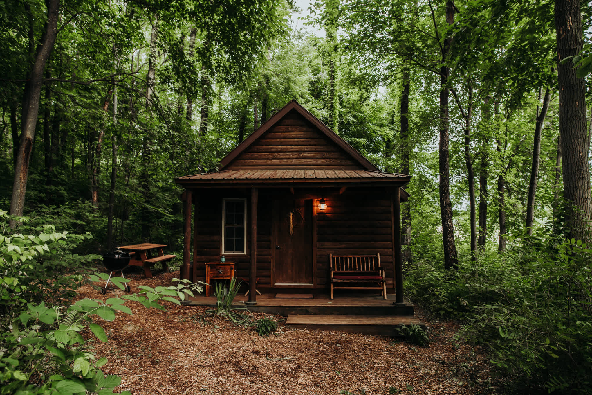 The cabin!