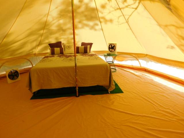 Interior view of Plum Tuckered Out.