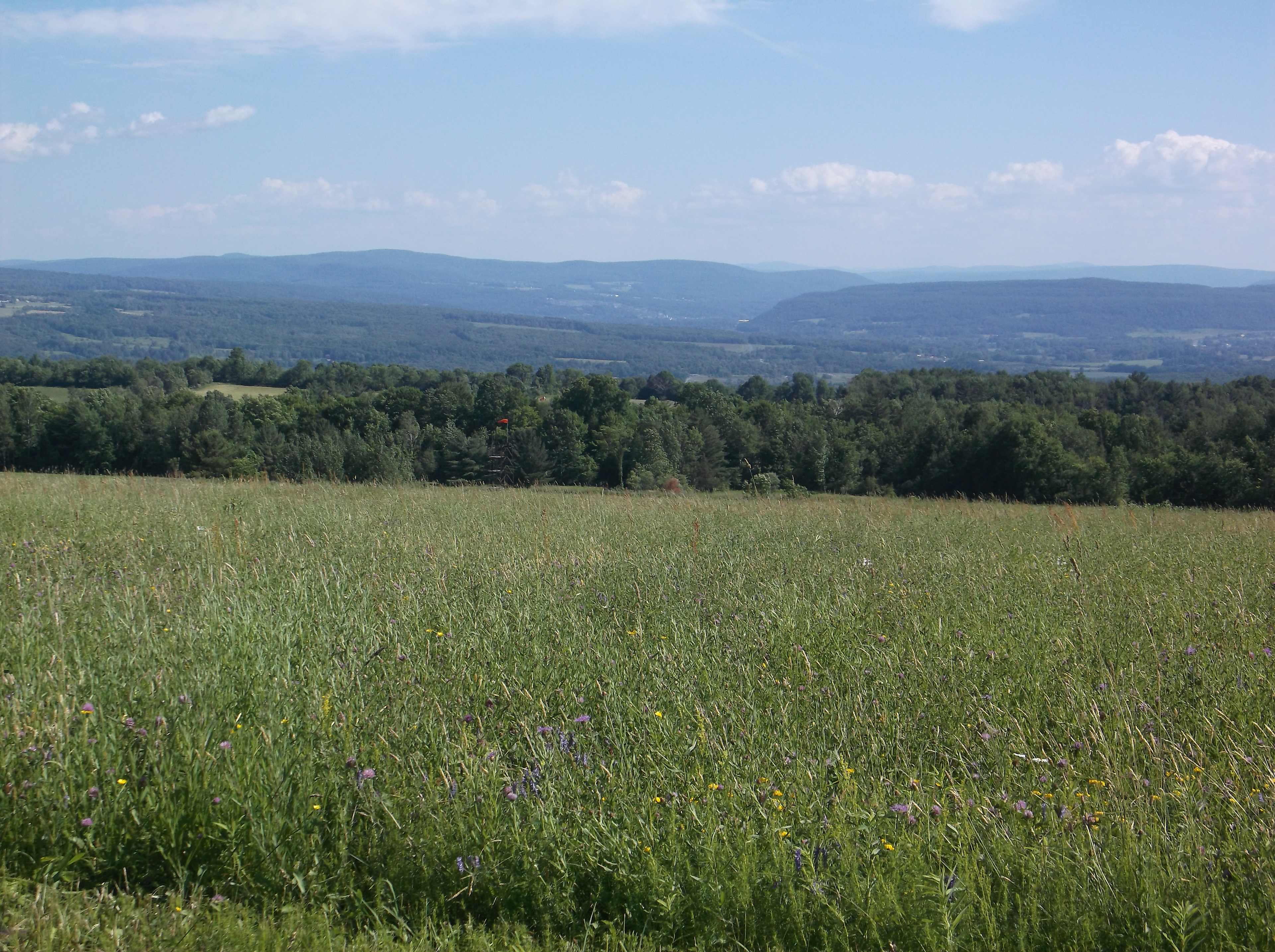 View looking south