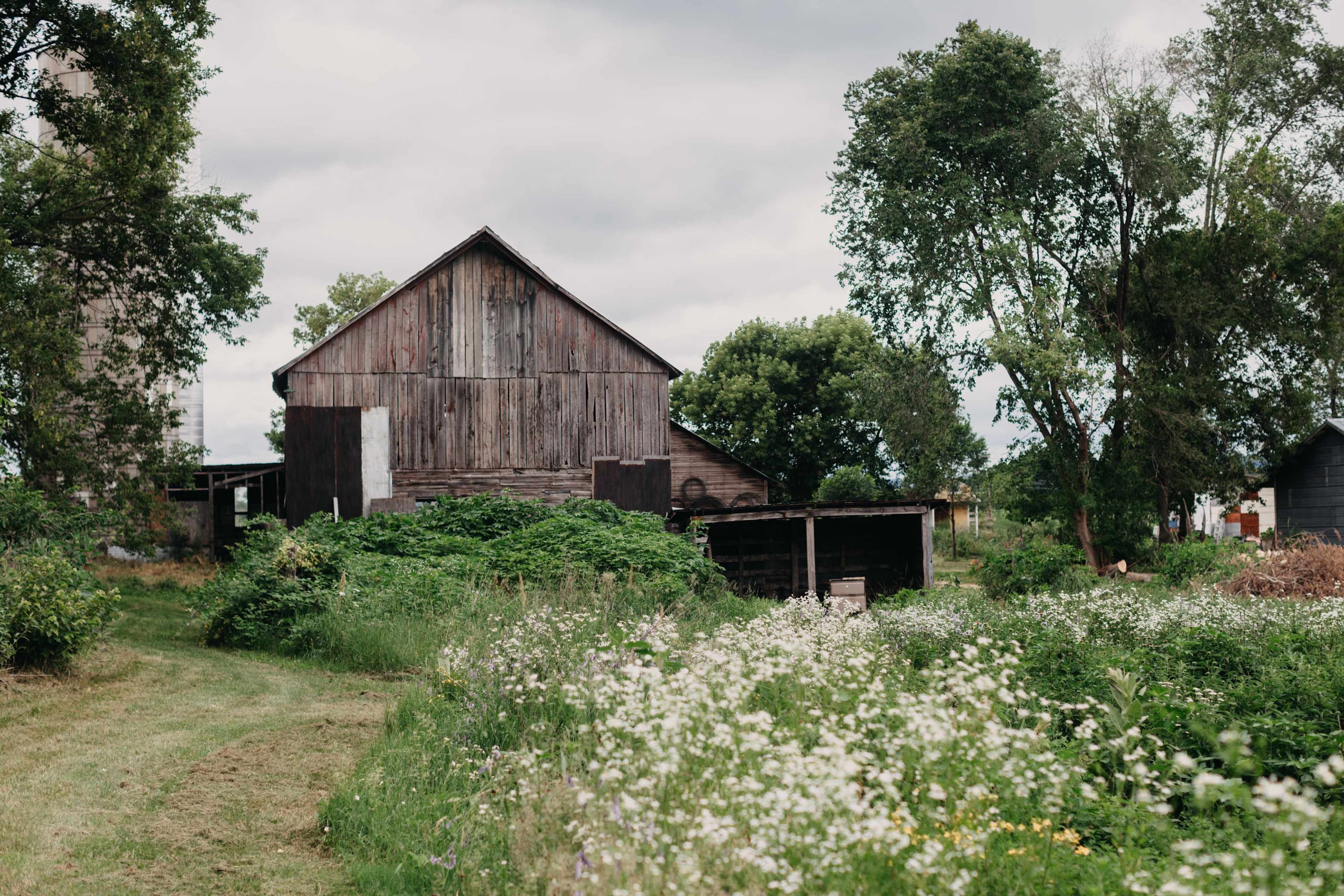 The barn and surrounding fields.