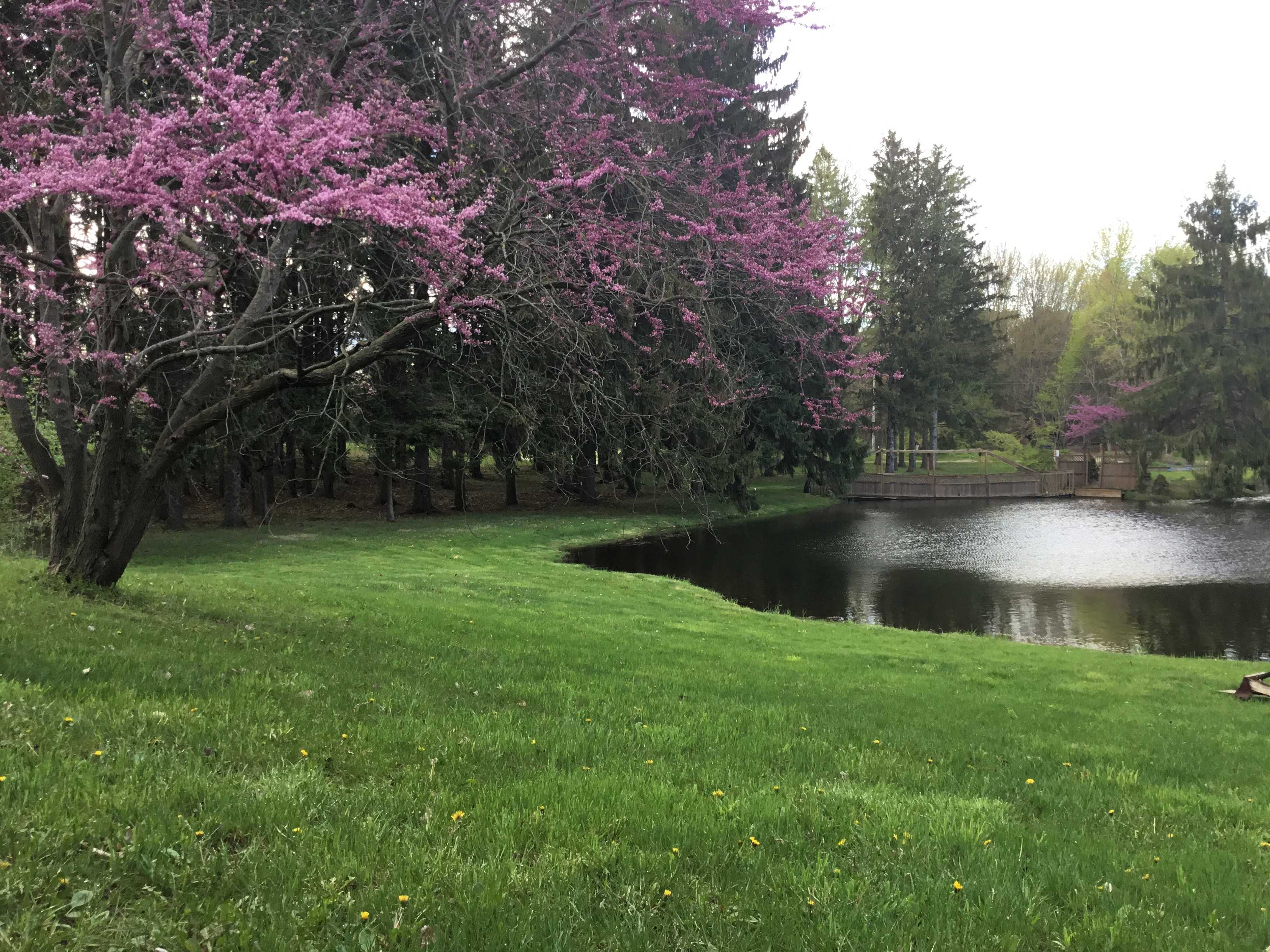 Spring Color