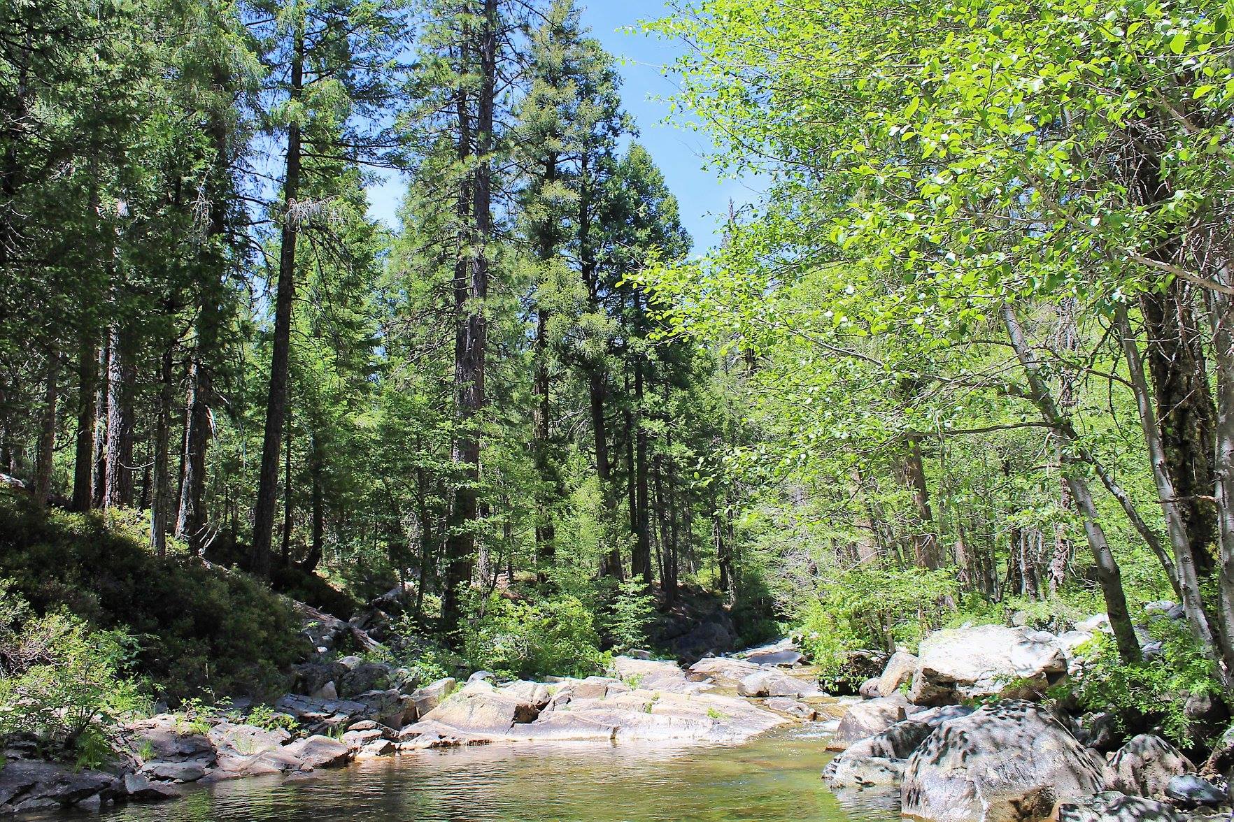 This beach area is about 2 minutes away from the campsites on the way to Onion Valley.  