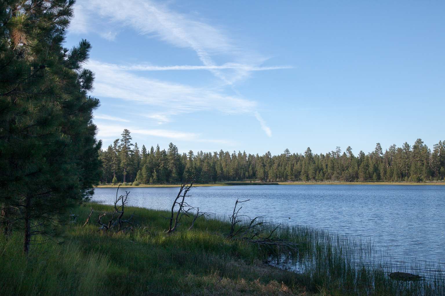 Delintment Lake Campground