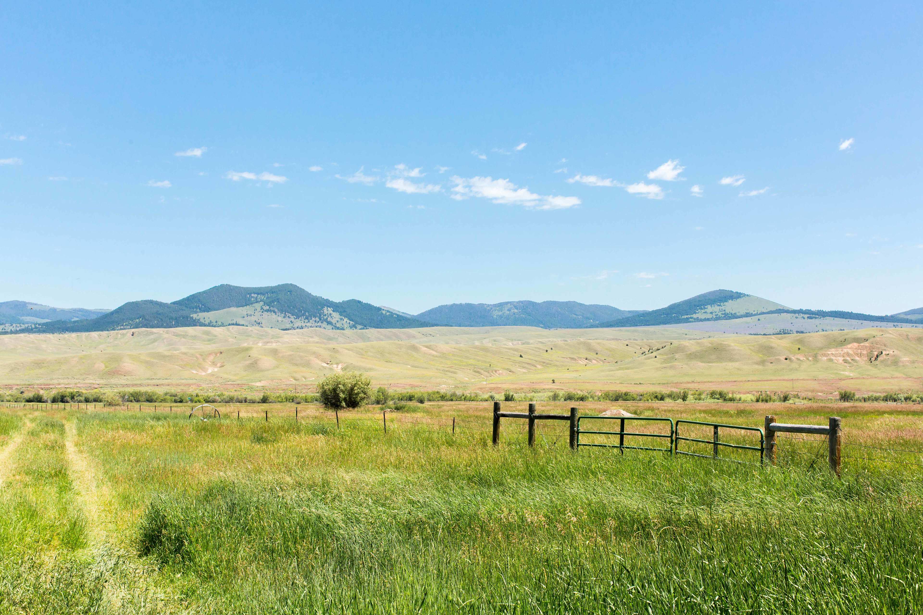 Hidden Meadow Ranch