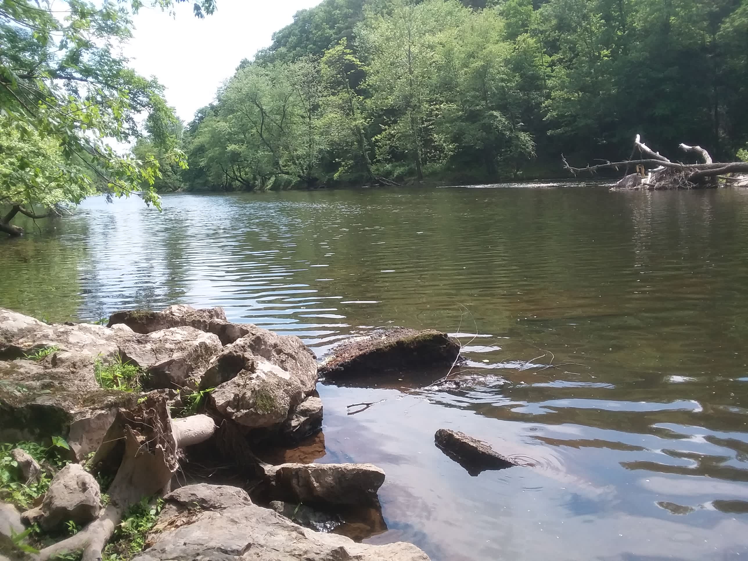 Come swim!