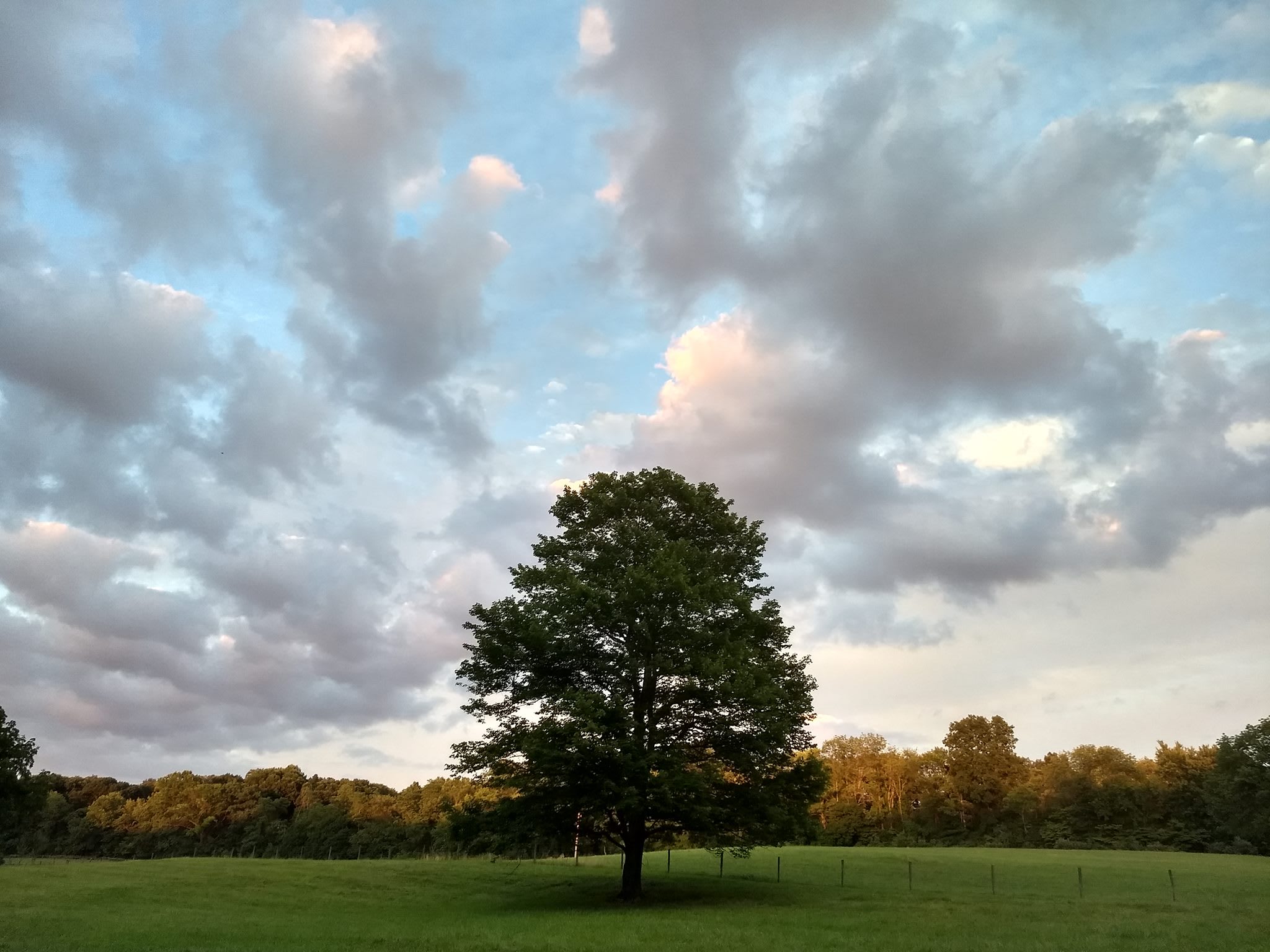 Scenic Turtle Ridge