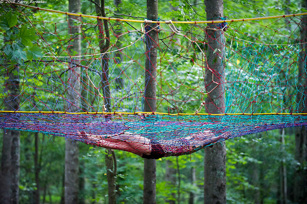 Our new Tree Web. Hang out 15 feet up in the trees