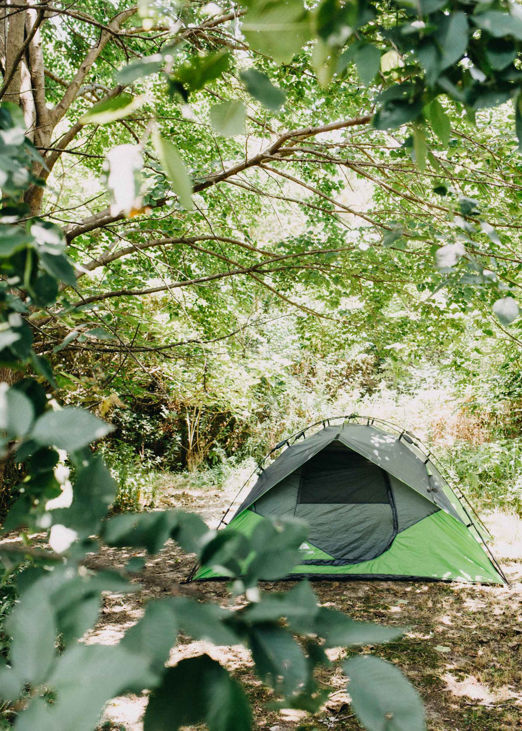 My little campsite in a perfectly shady spot on the back of the property to the left of the driveway
