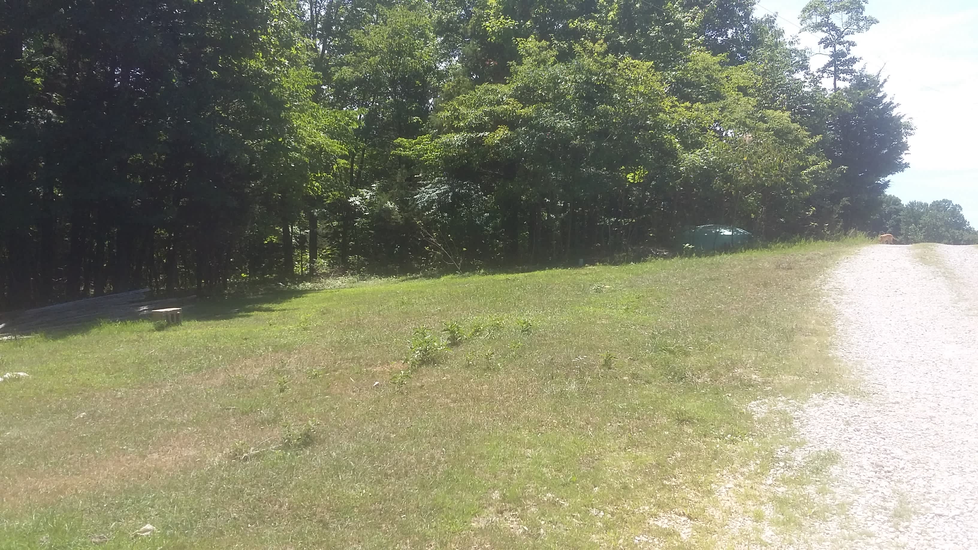 Clearing at the top of the driveway.  You'll be right next to the water spigot and have plenty of room for your tent.