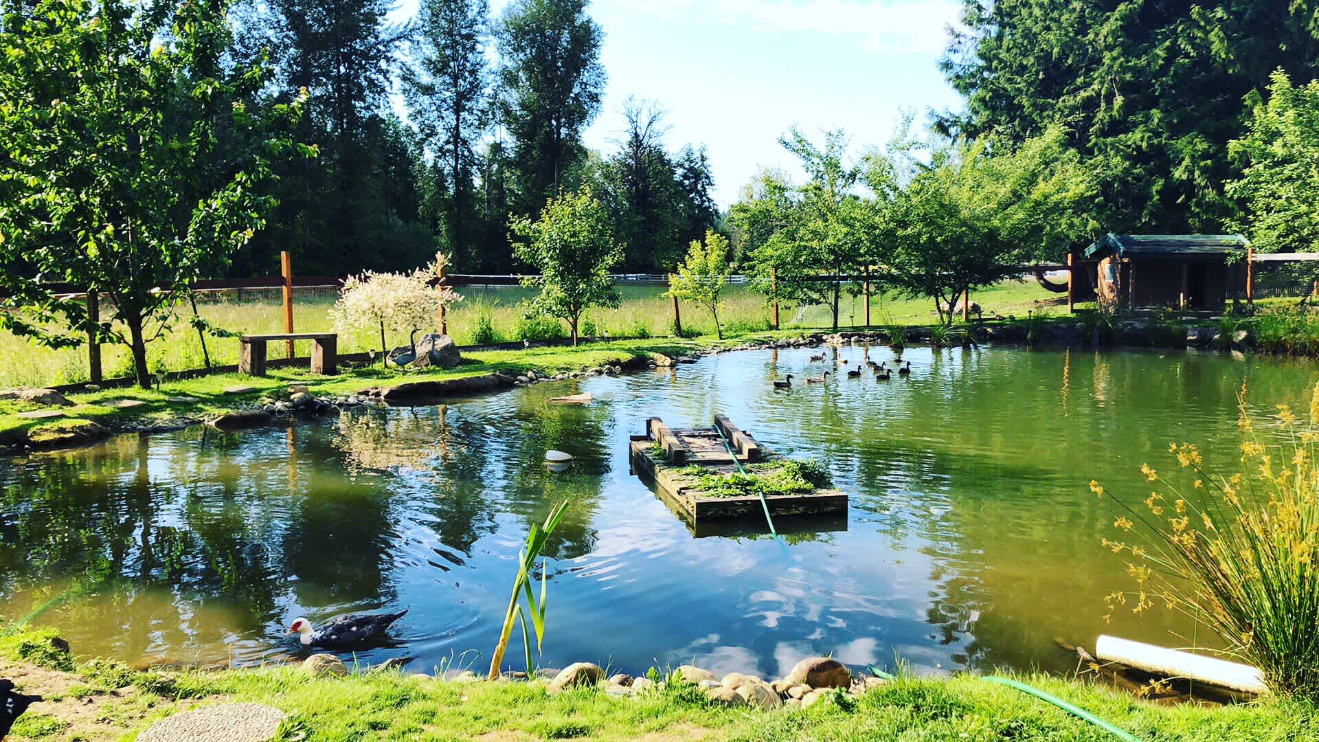 Dragos Farm