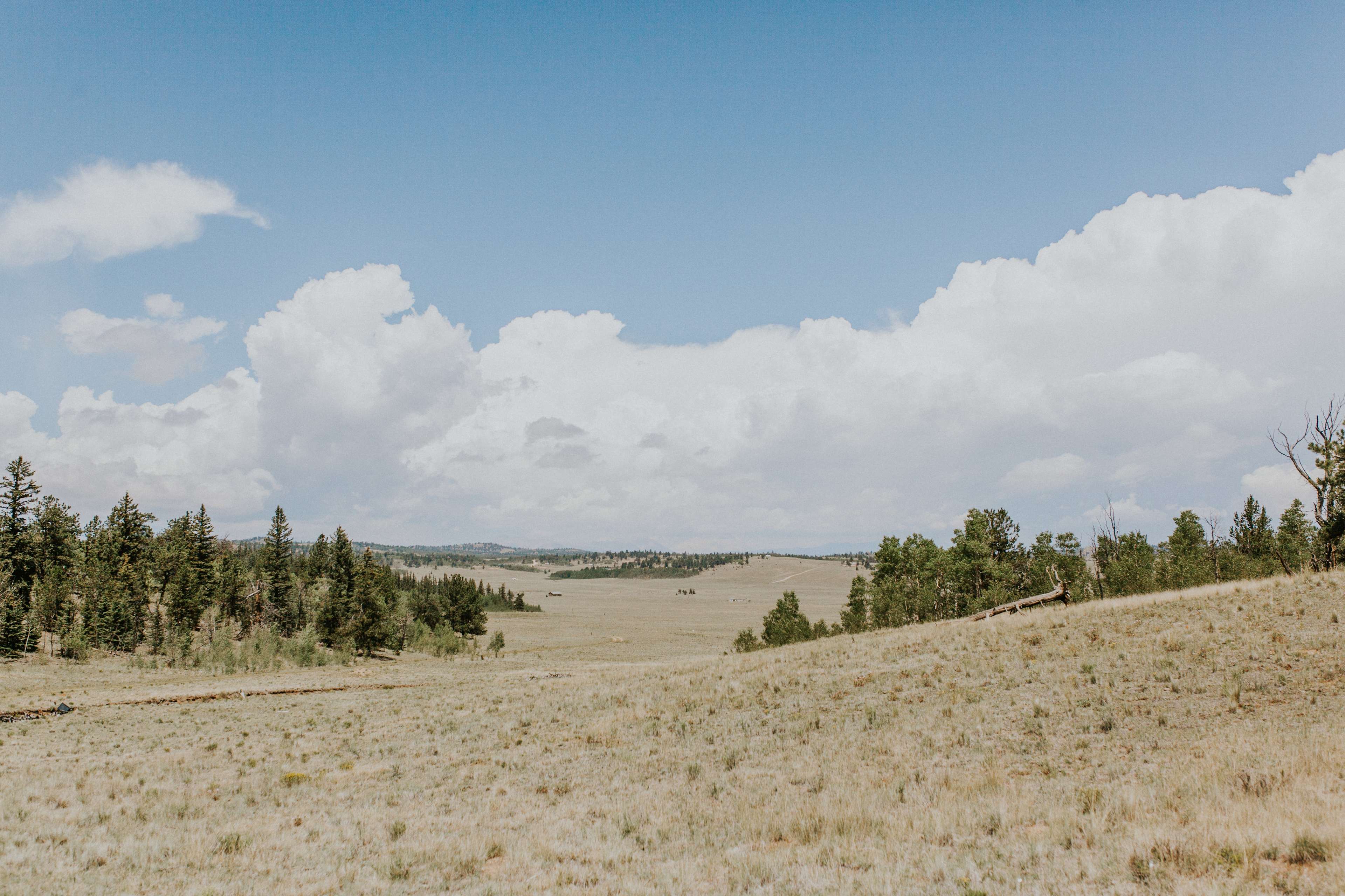 Hay Zee Mountain Ranch - Hipcamp in Silverthorne, Colorado